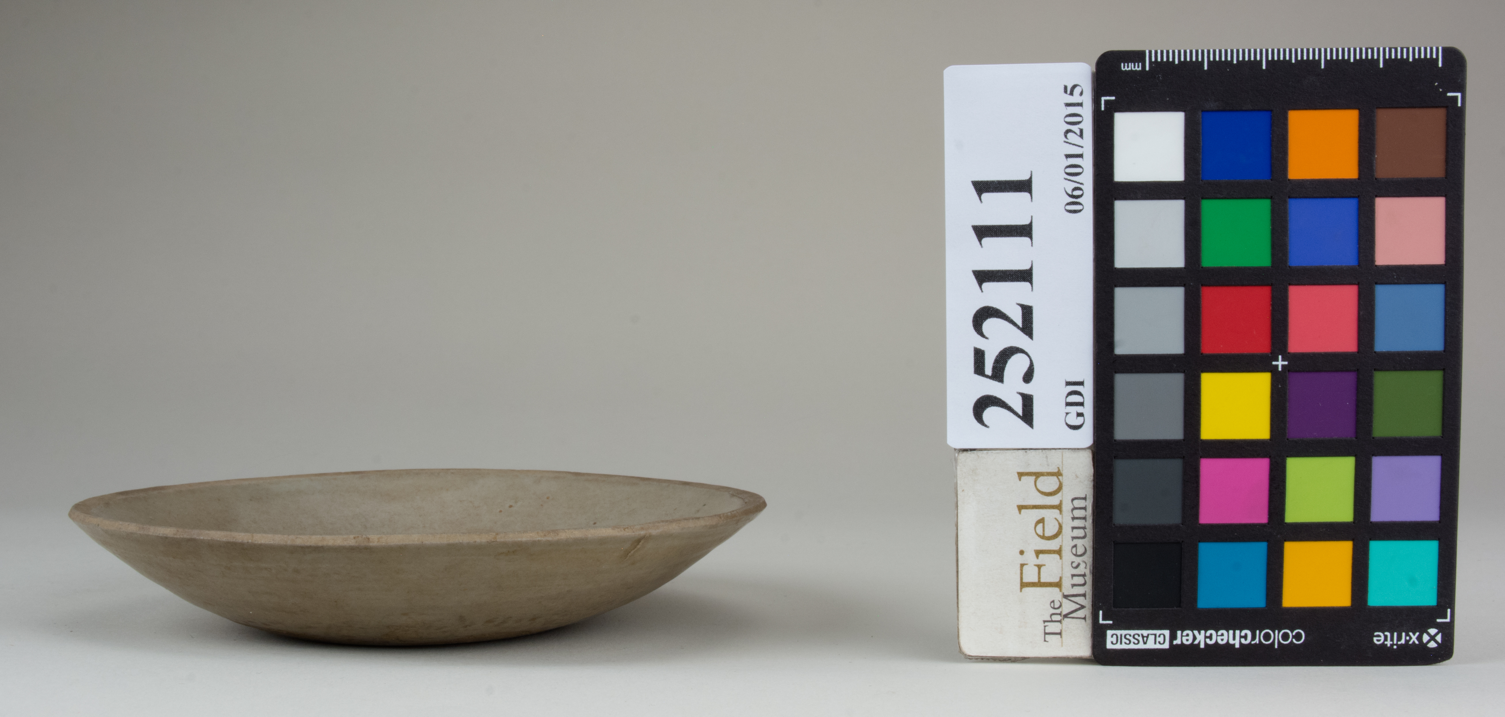 reference image, back (c) Field Museum of Natural History - CC BY-NC 4.0