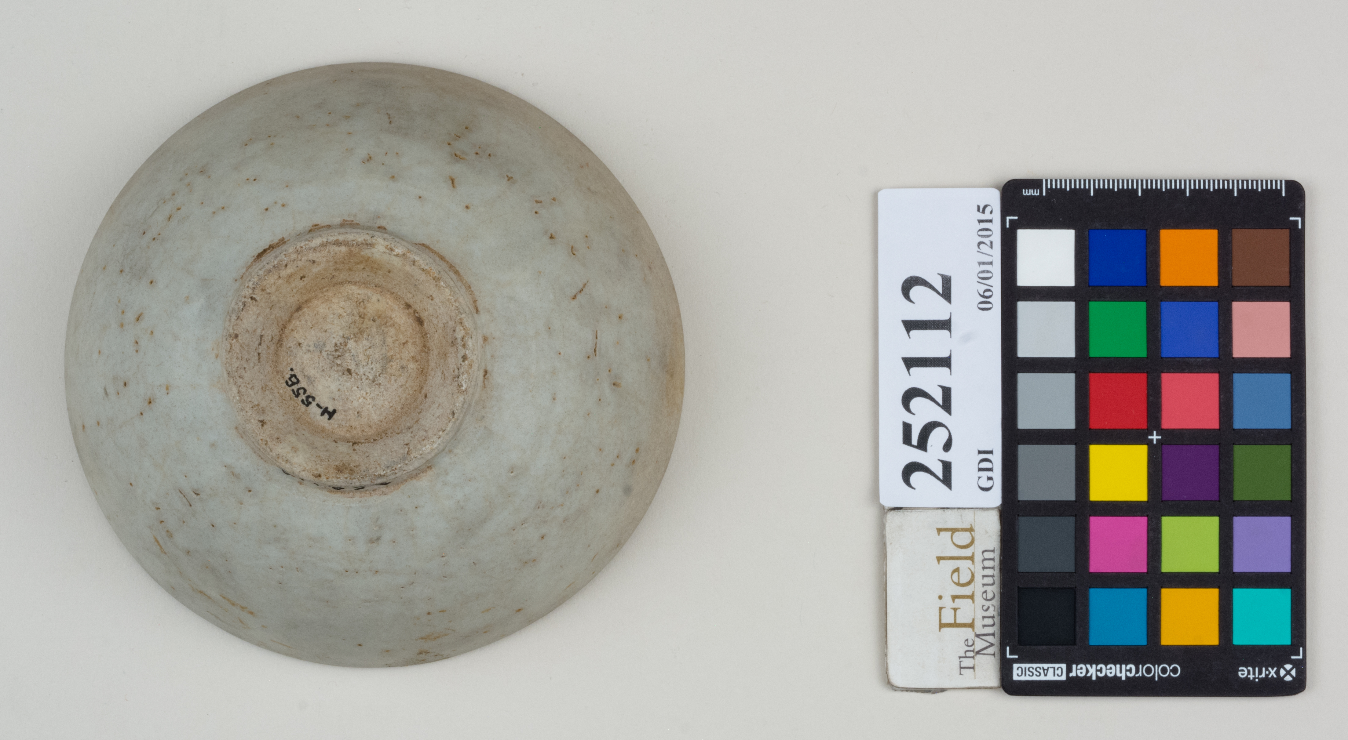 Bottom (c) Field Museum of Natural History - CC BY-NC 4.0