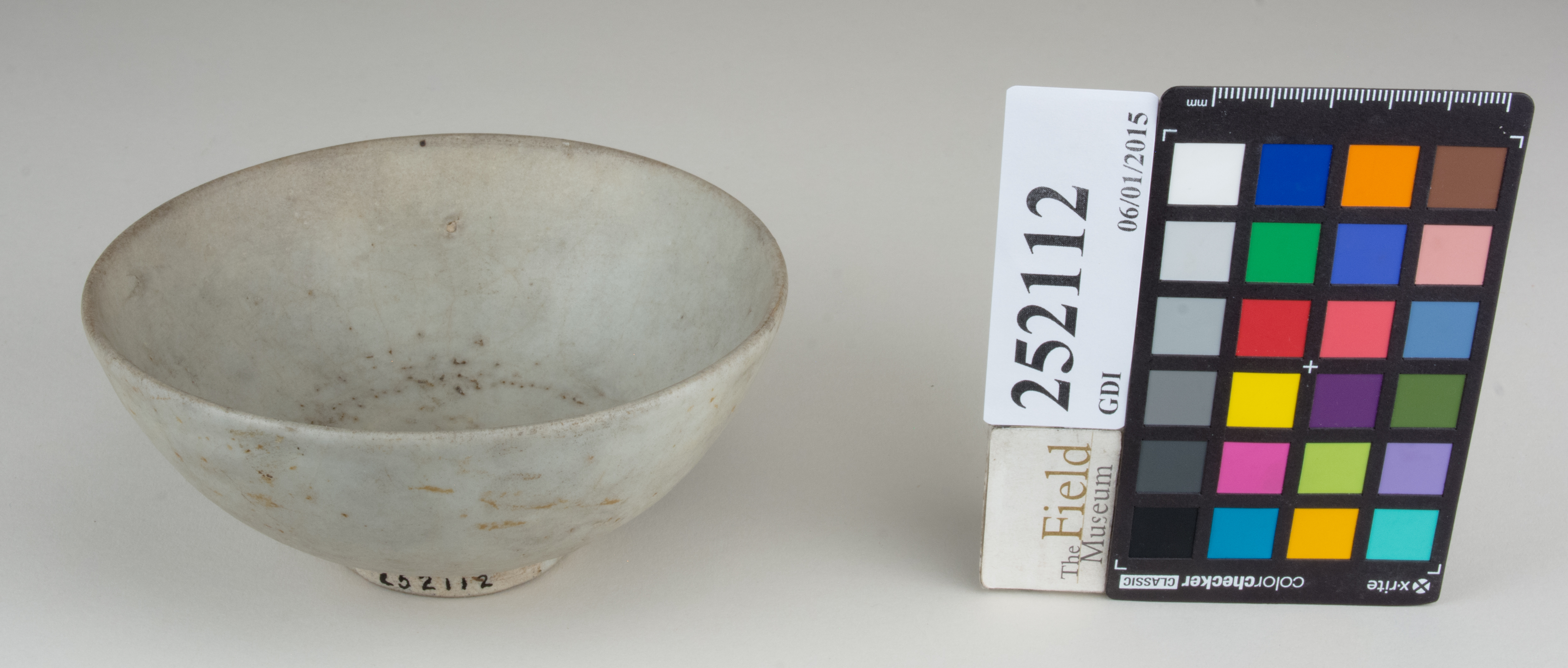 FrontAngle (c) Field Museum of Natural History - CC BY-NC 4.0