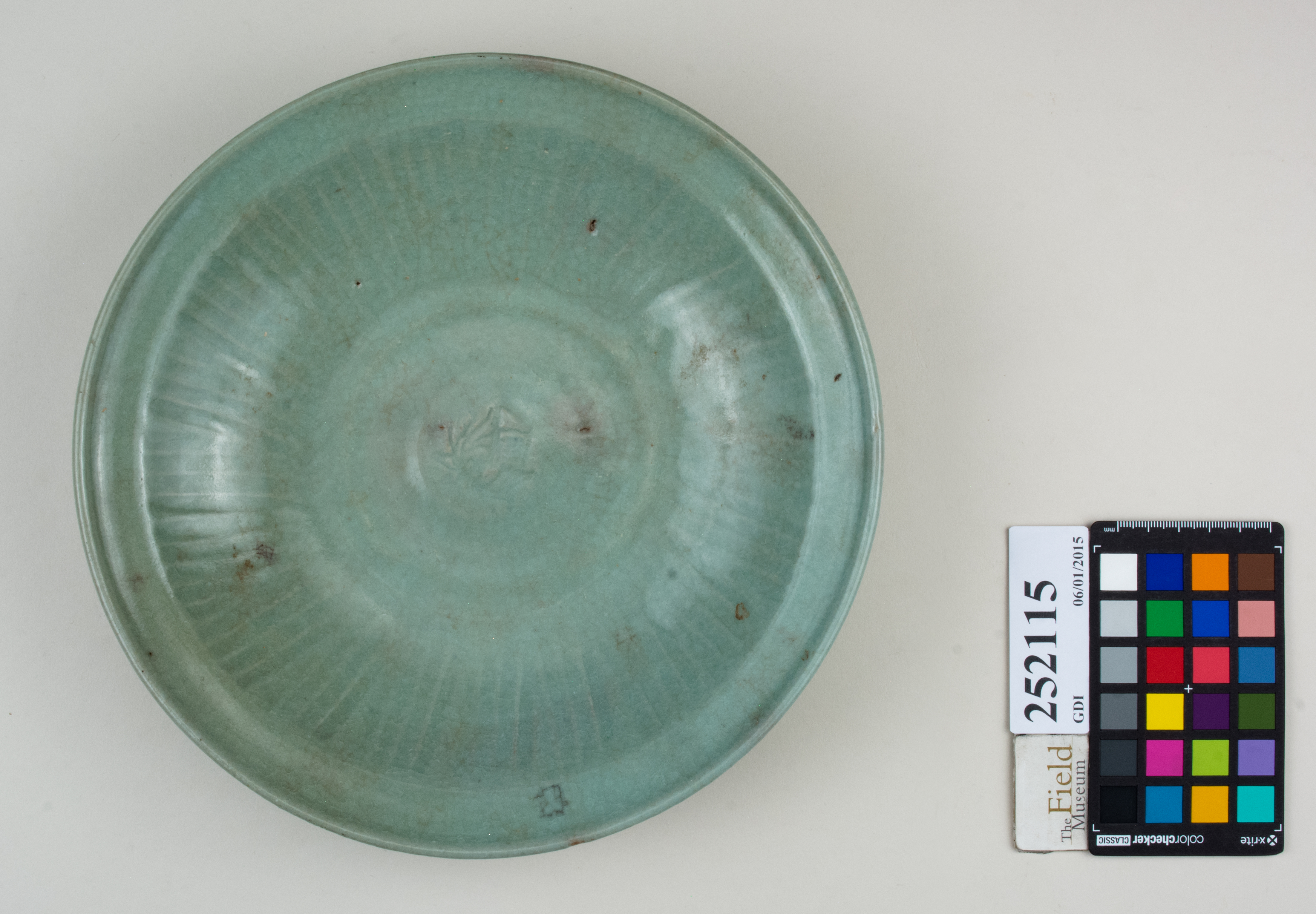 Top (c) Field Museum of Natural History - CC BY-NC 4.0