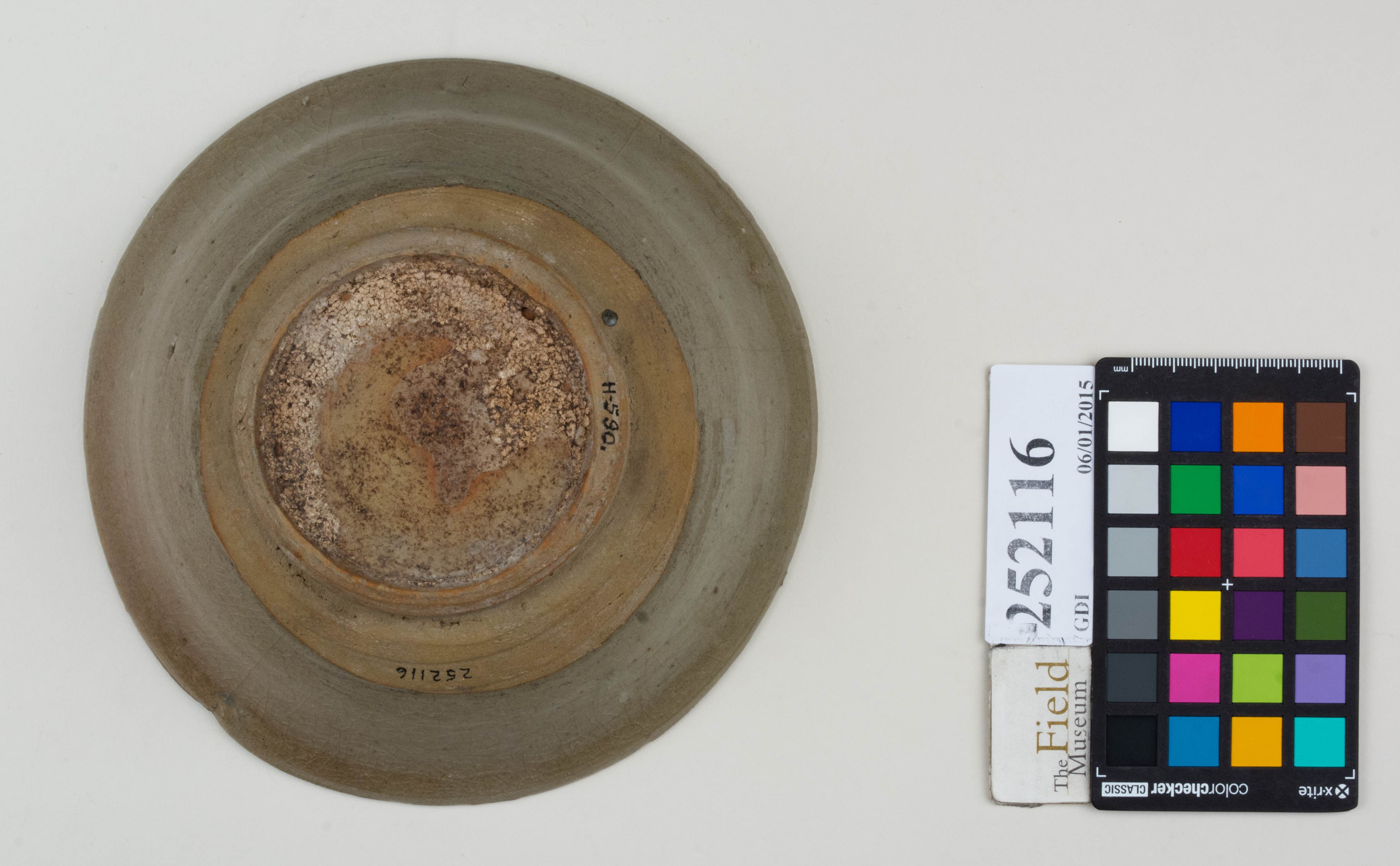 Bottom (c) Field Museum of Natural History - CC BY-NC 4.0