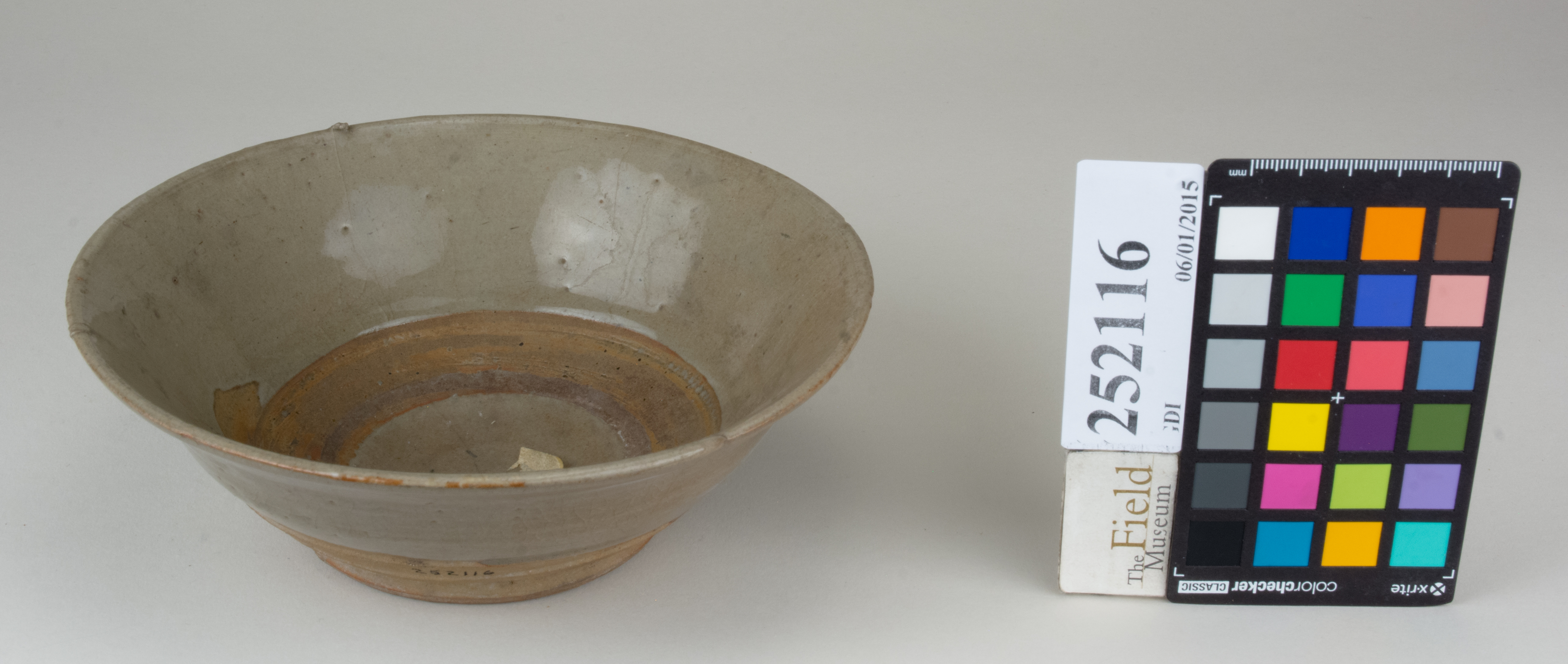 FrontAngle (c) Field Museum of Natural History - CC BY-NC 4.0