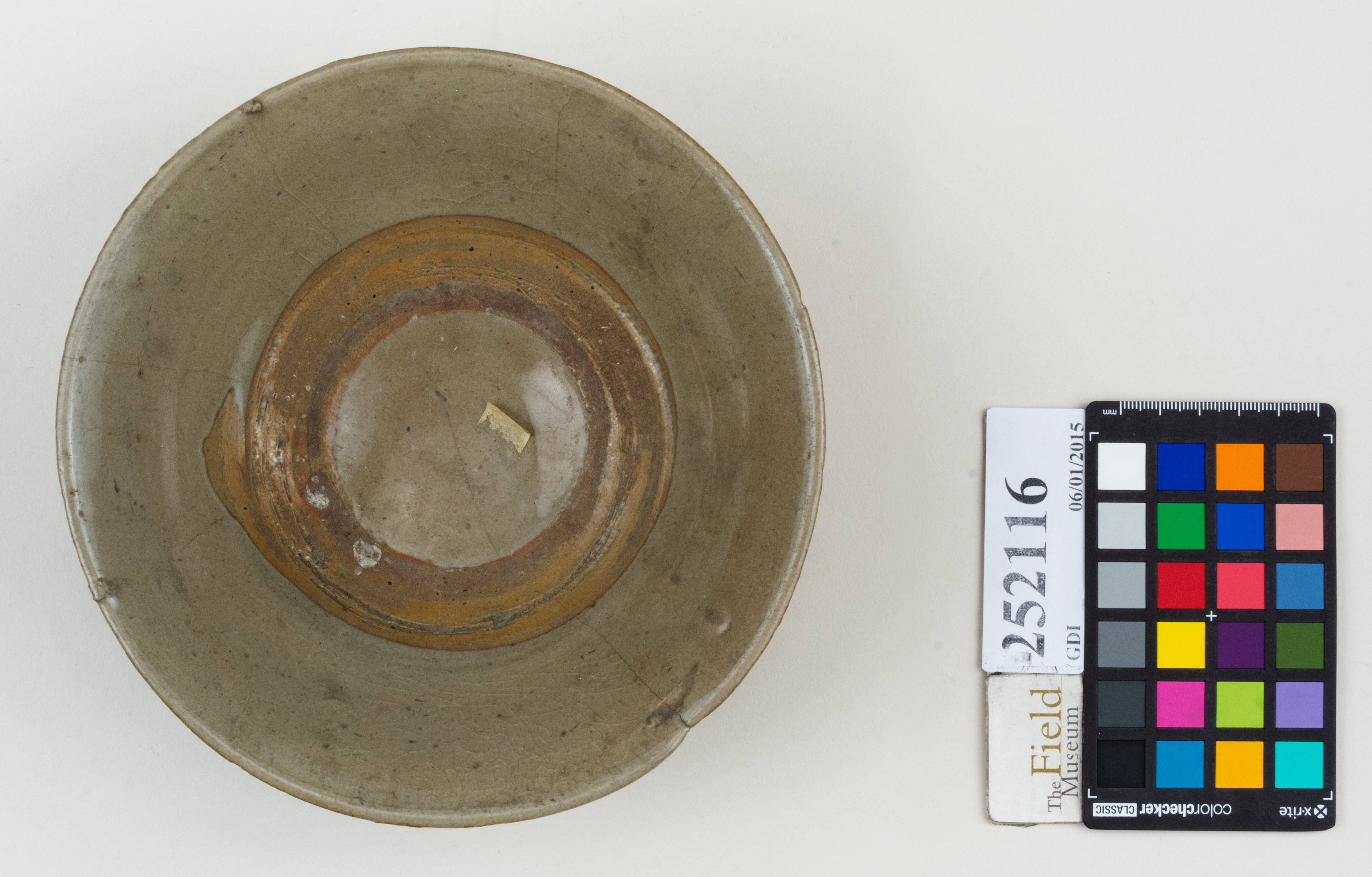 Top (c) Field Museum of Natural History - CC BY-NC 4.0