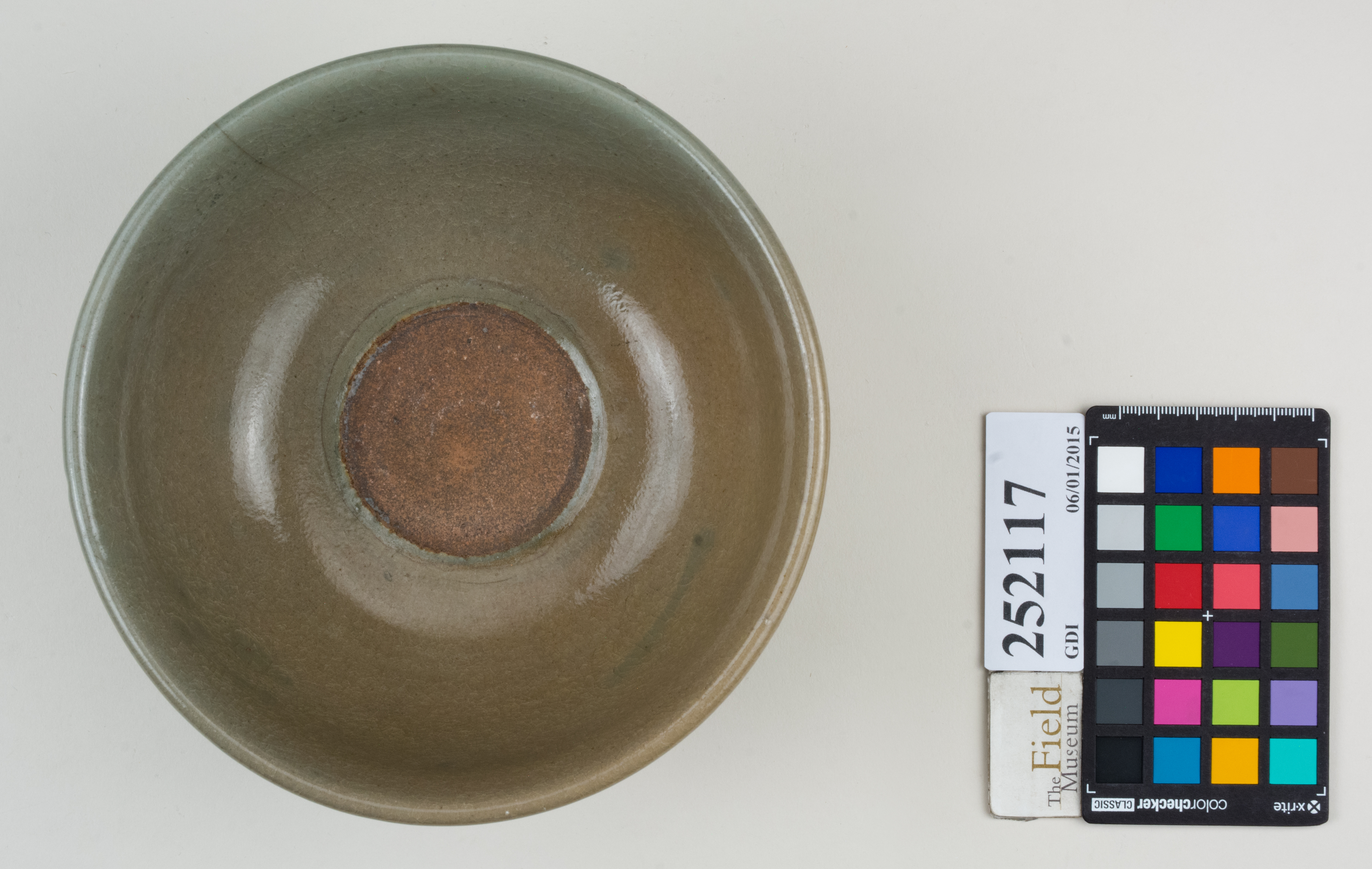 Top (c) Field Museum of Natural History - CC BY-NC 4.0