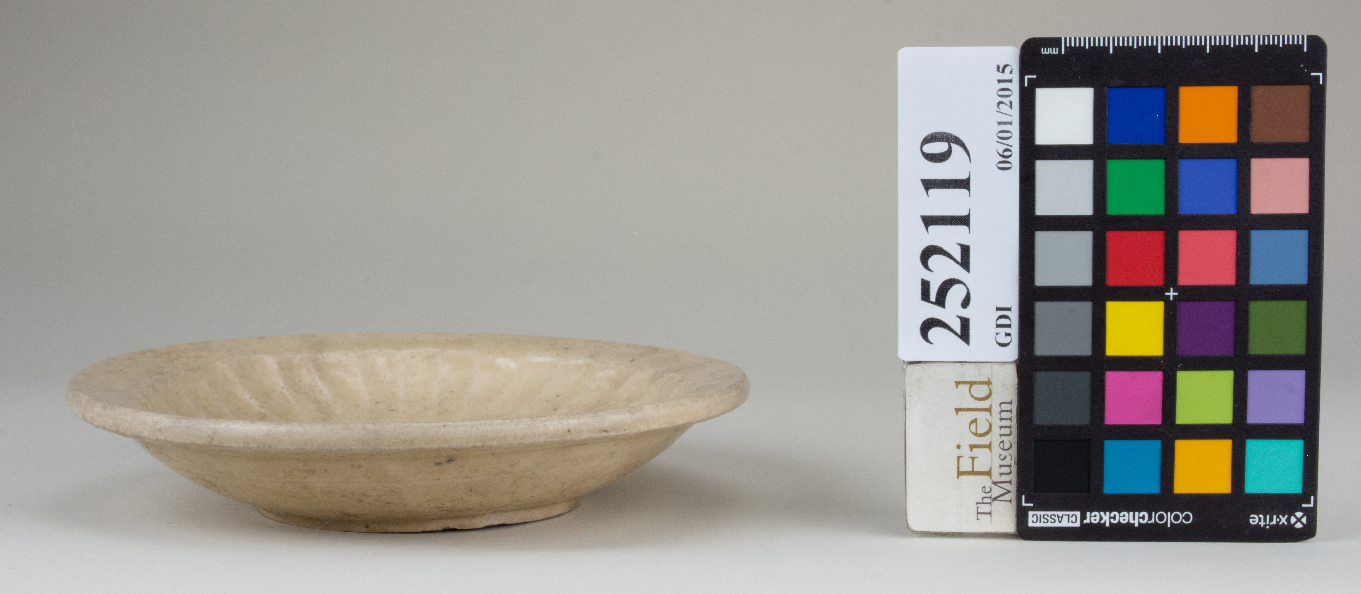 reference image, back (c) Field Museum of Natural History - CC BY-NC 4.0