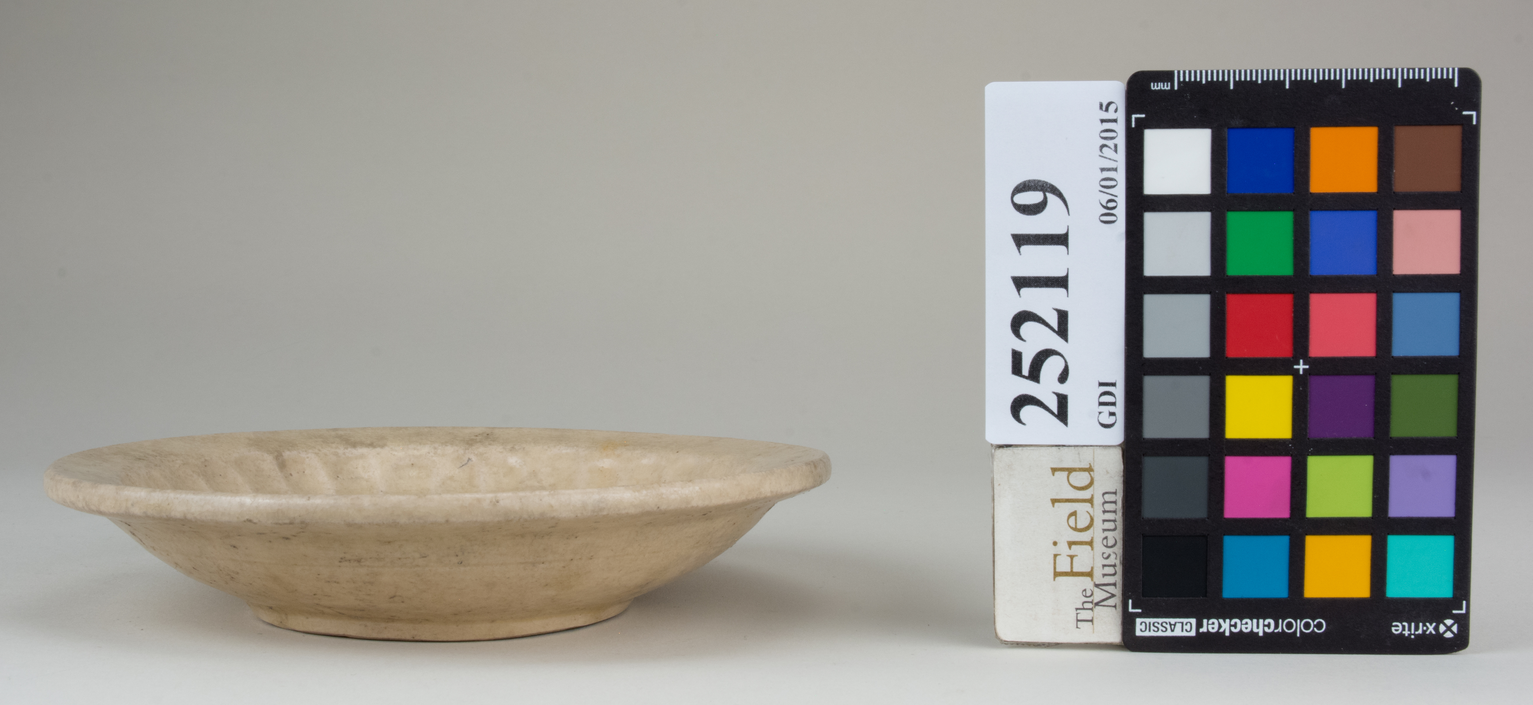 Front (c) Field Museum of Natural History - CC BY-NC 4.0