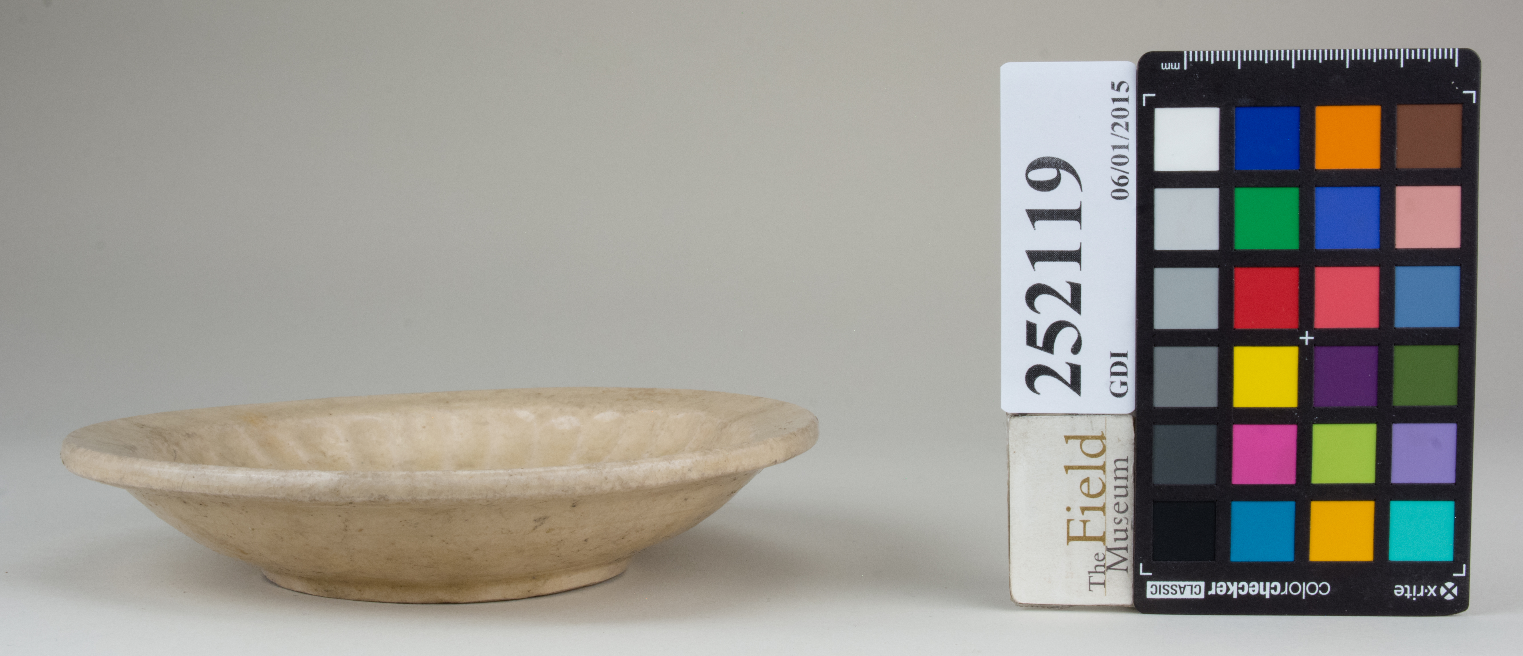 Right (c) Field Museum of Natural History - CC BY-NC 4.0