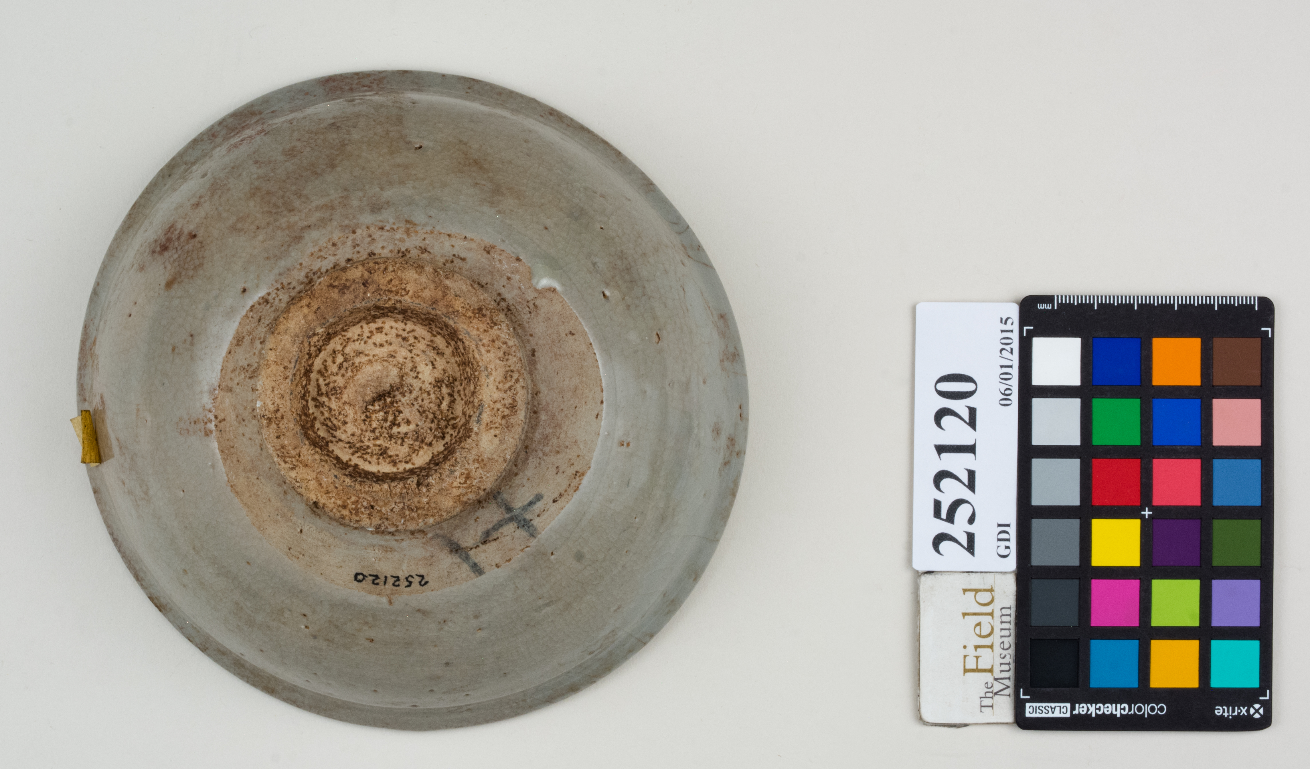 Bottom (c) Field Museum of Natural History - CC BY-NC 4.0