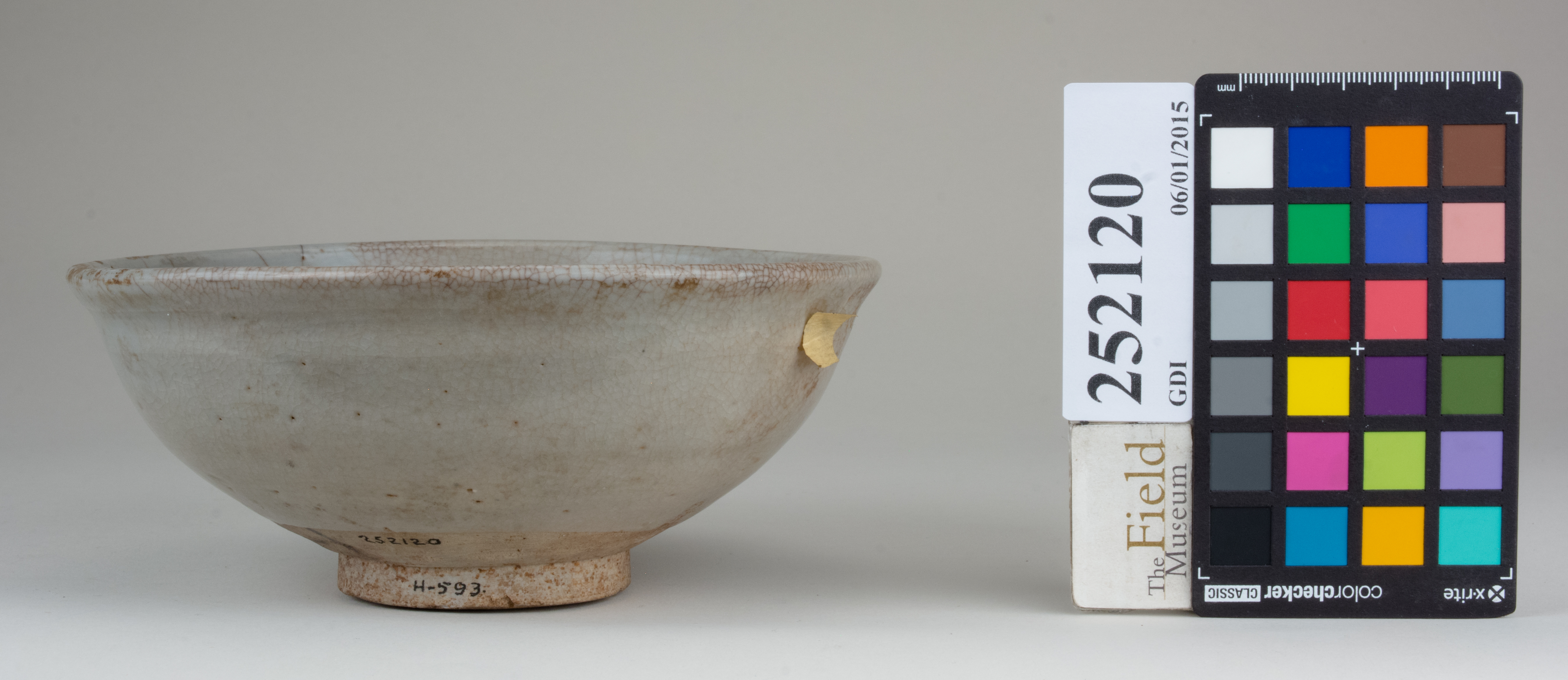 Front (c) Field Museum of Natural History - CC BY-NC 4.0