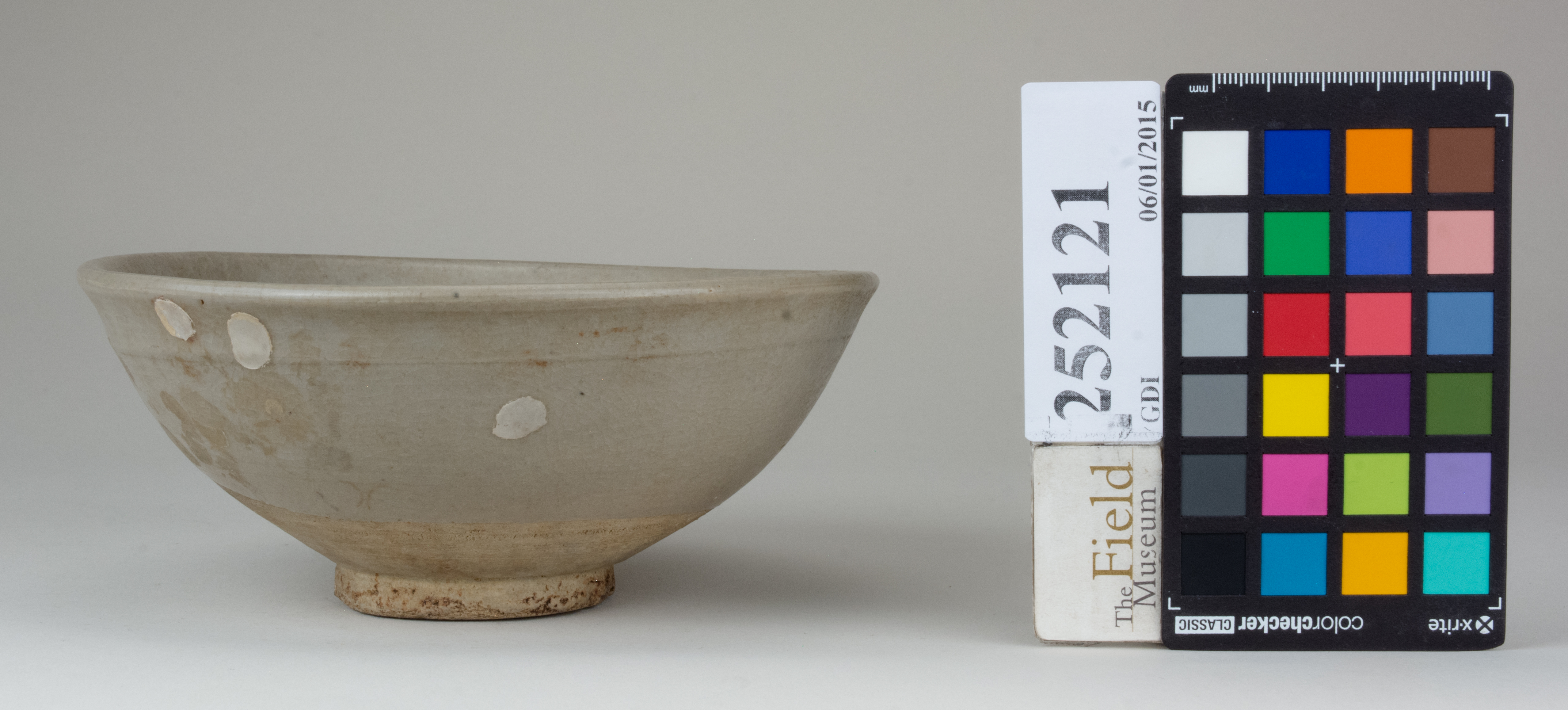 reference image, back (c) Field Museum of Natural History - CC BY-NC 4.0