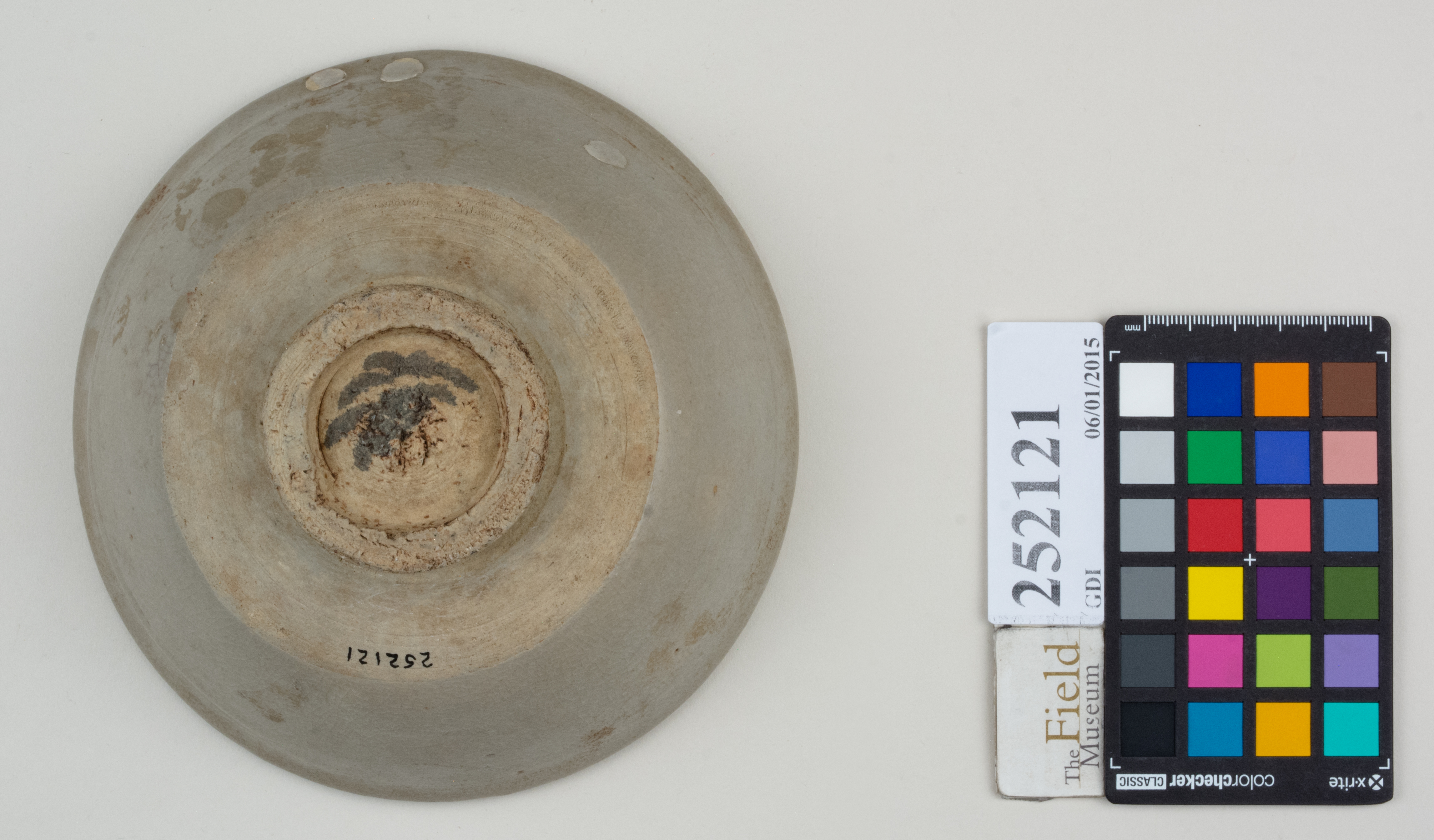 Bottom (c) Field Museum of Natural History - CC BY-NC 4.0