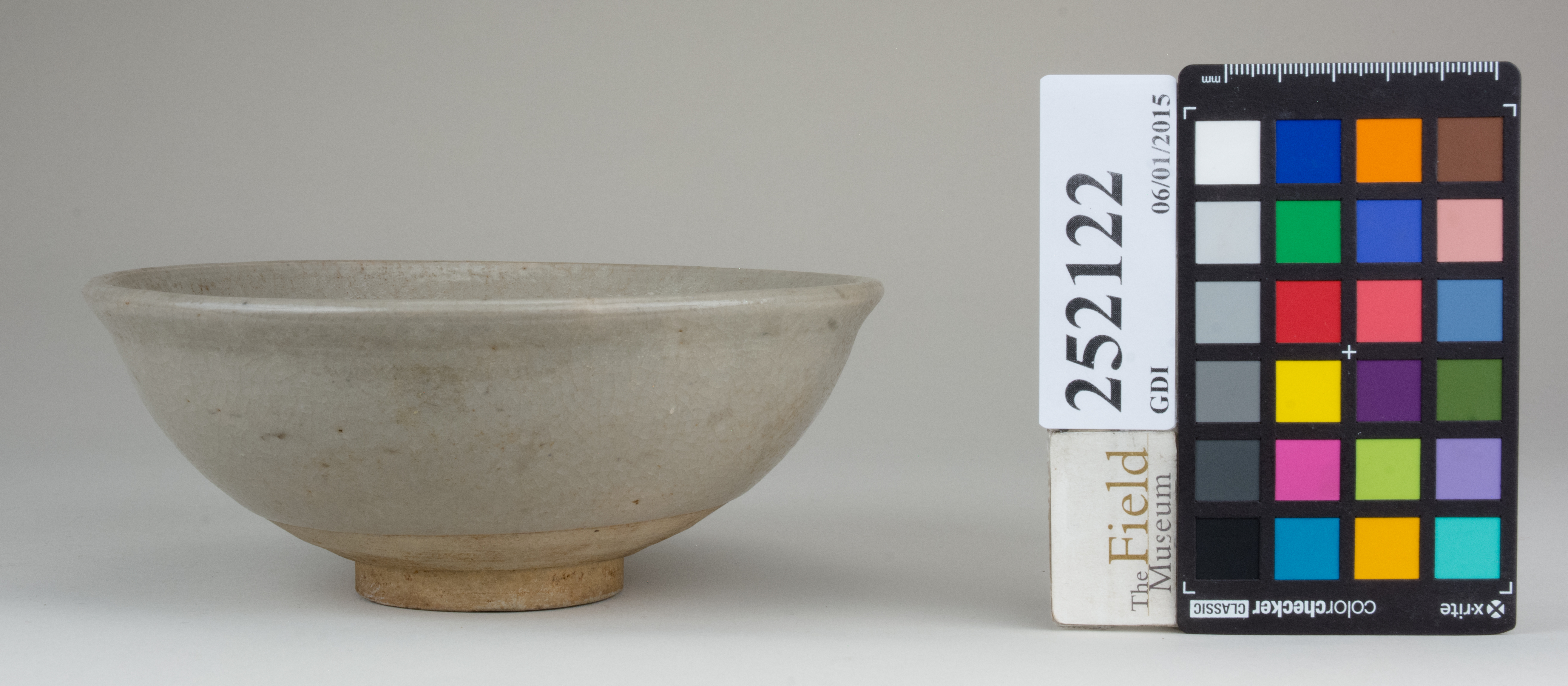 reference image, back (c) Field Museum of Natural History - CC BY-NC 4.0