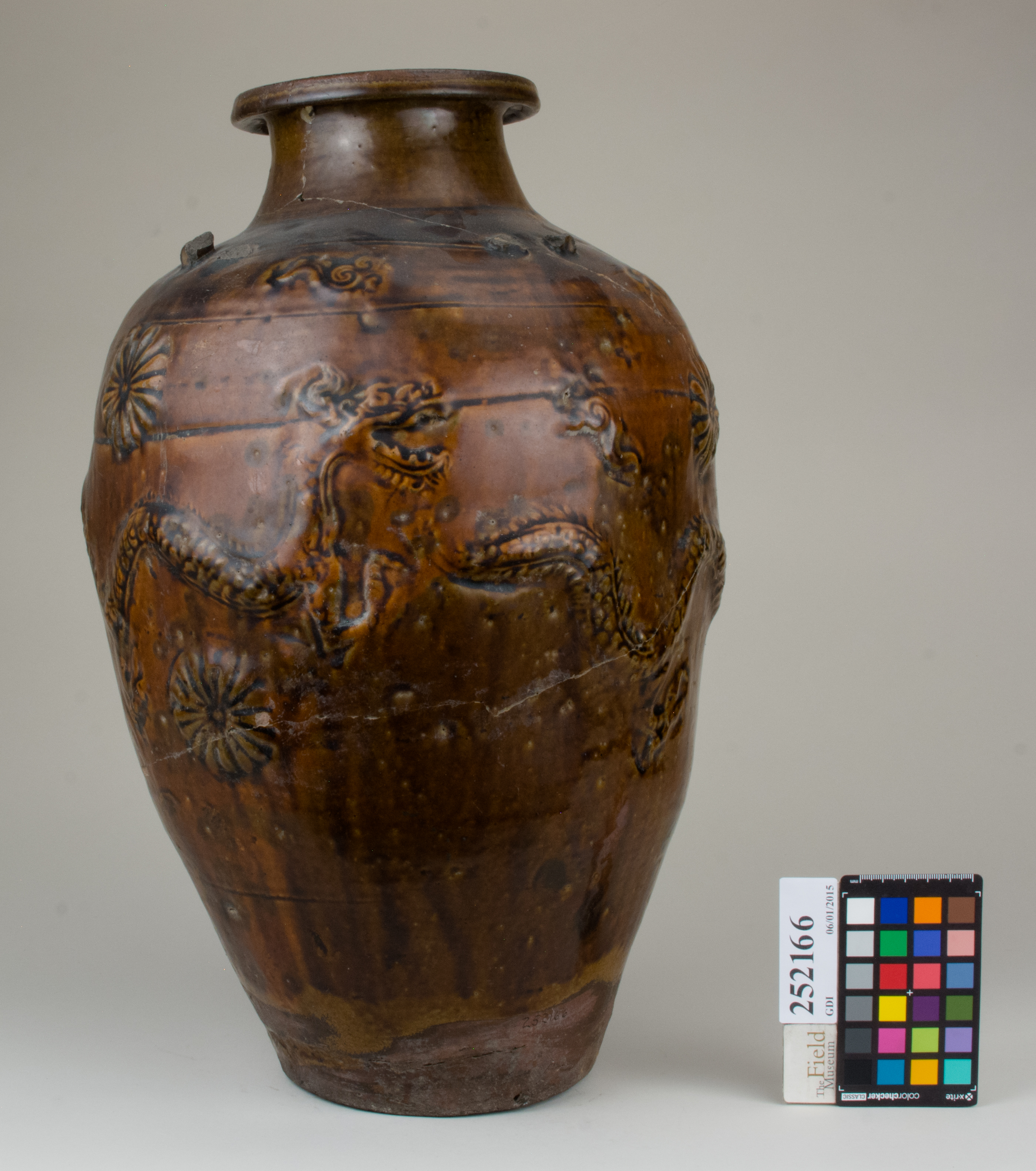 Front (c) Field Museum of Natural History - CC BY-NC 4.0