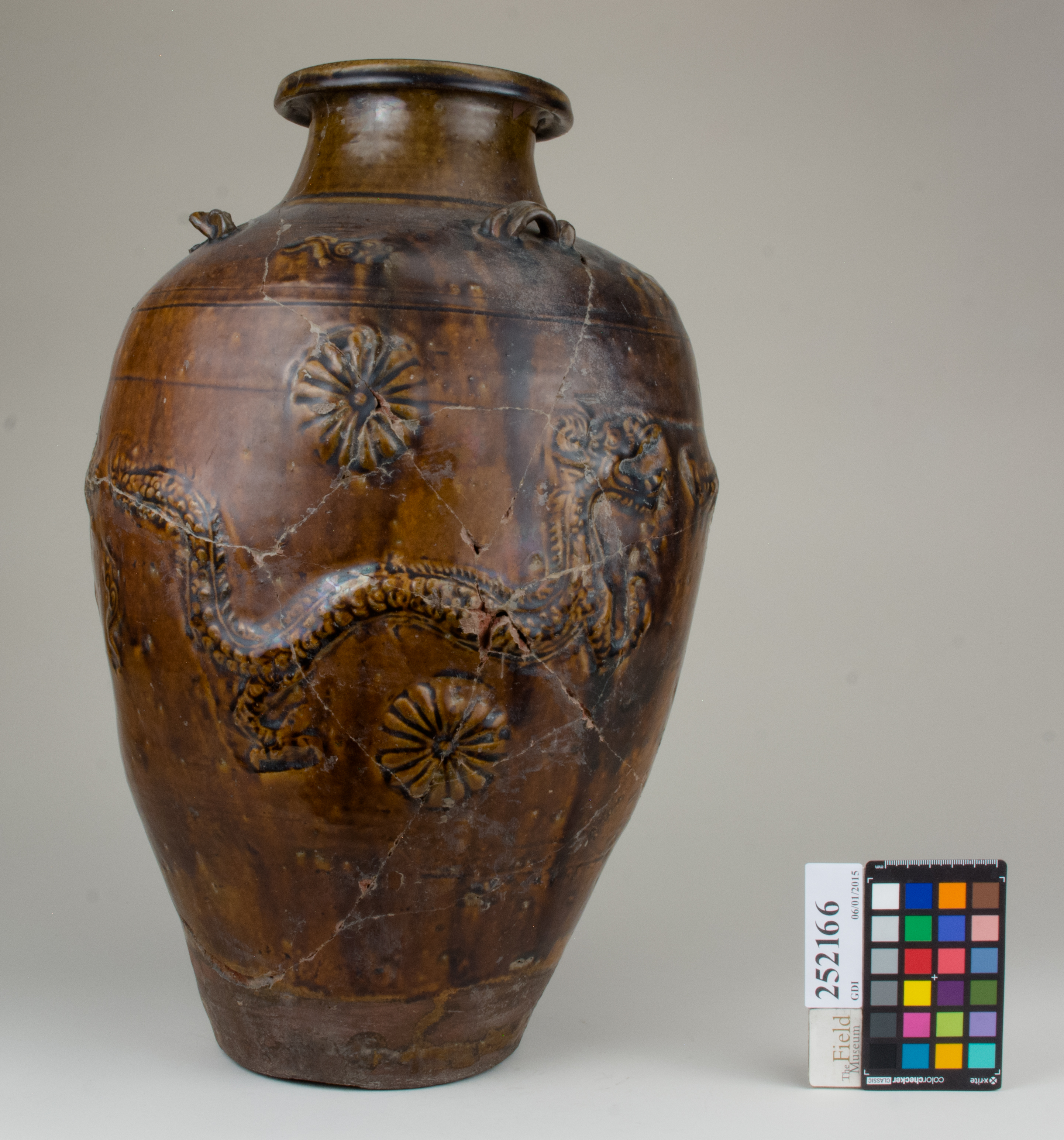 Right (c) Field Museum of Natural History - CC BY-NC 4.0