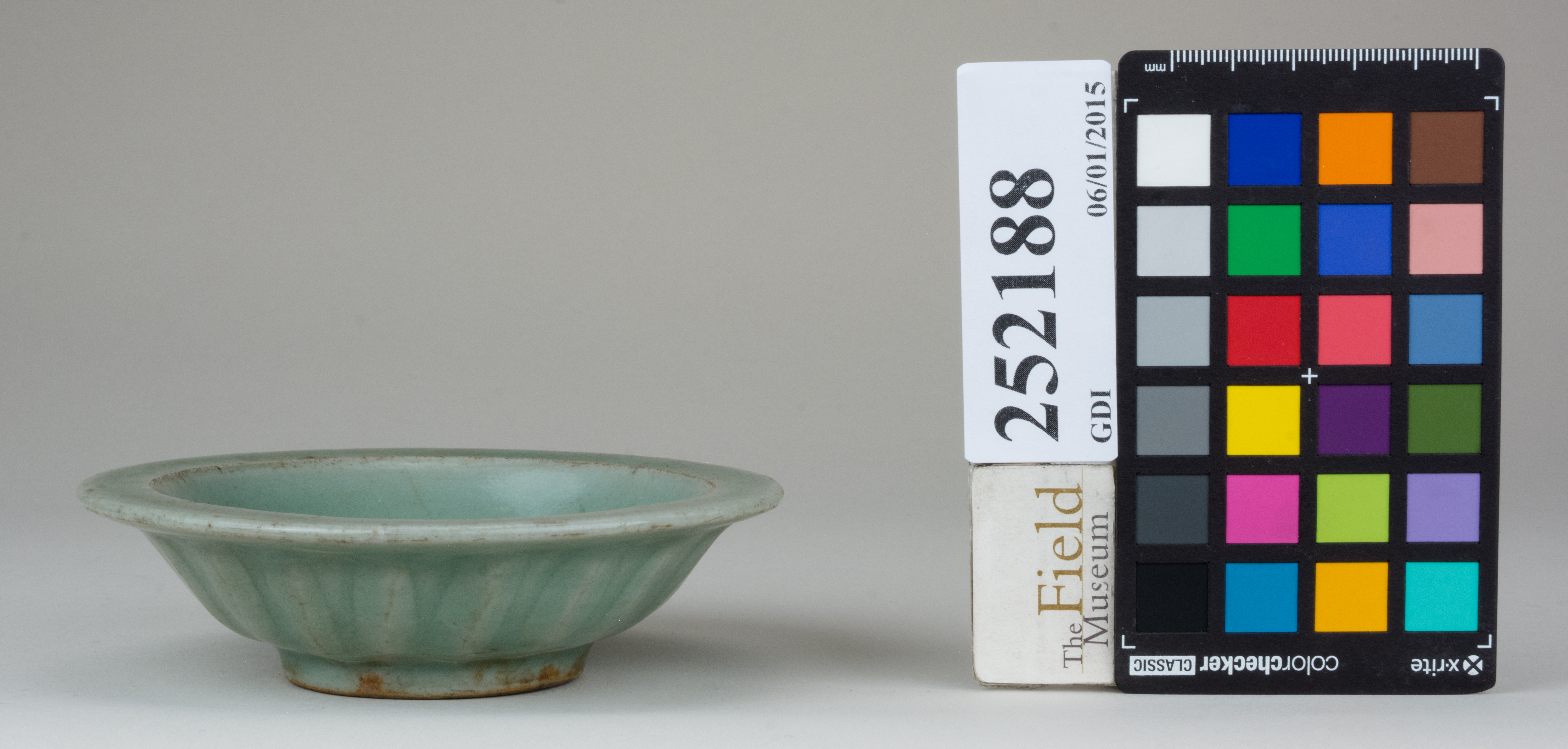 reference image, back (c) Field Museum of Natural History - CC BY-NC 4.0