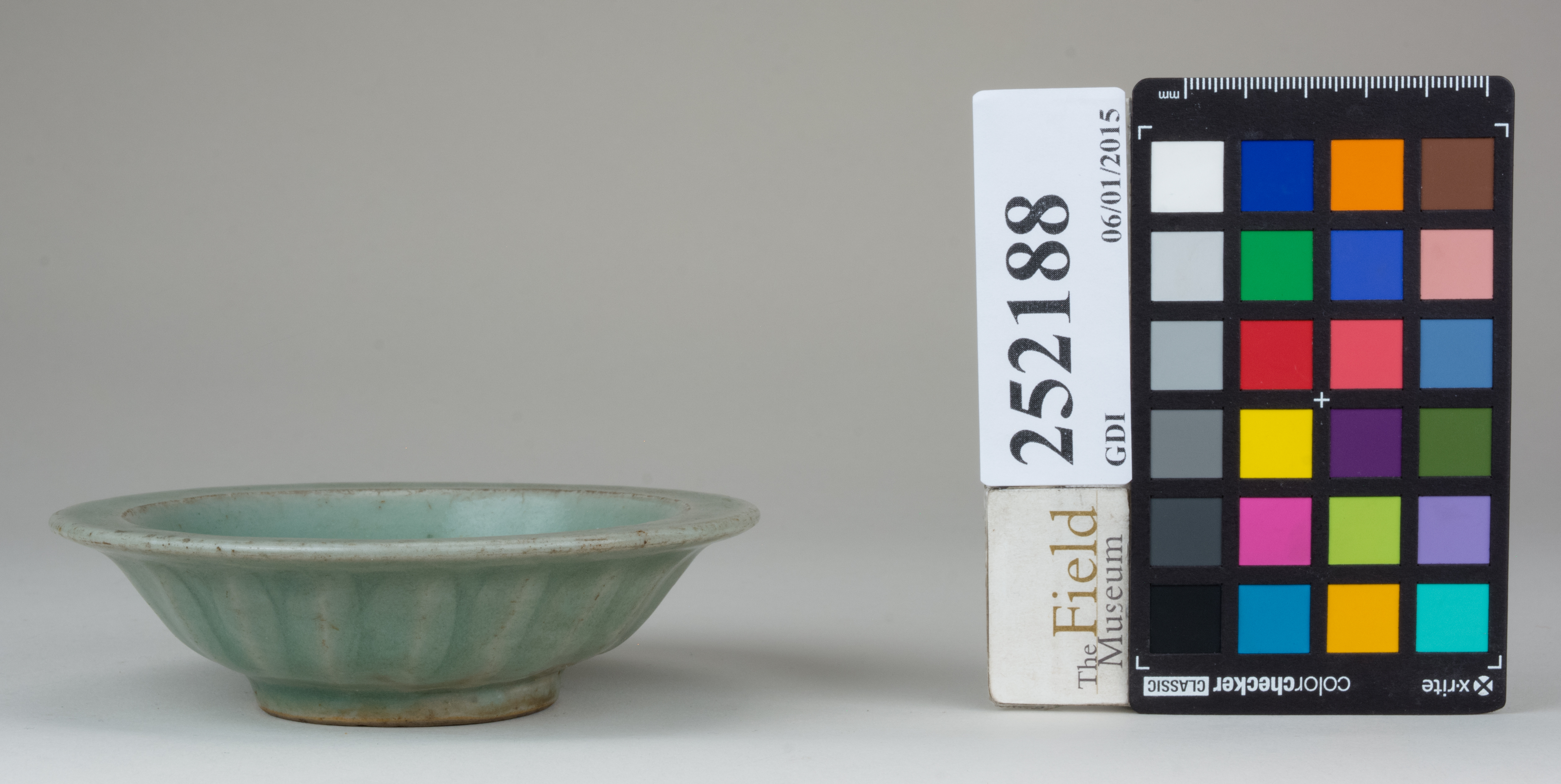 Front (c) Field Museum of Natural History - CC BY-NC 4.0