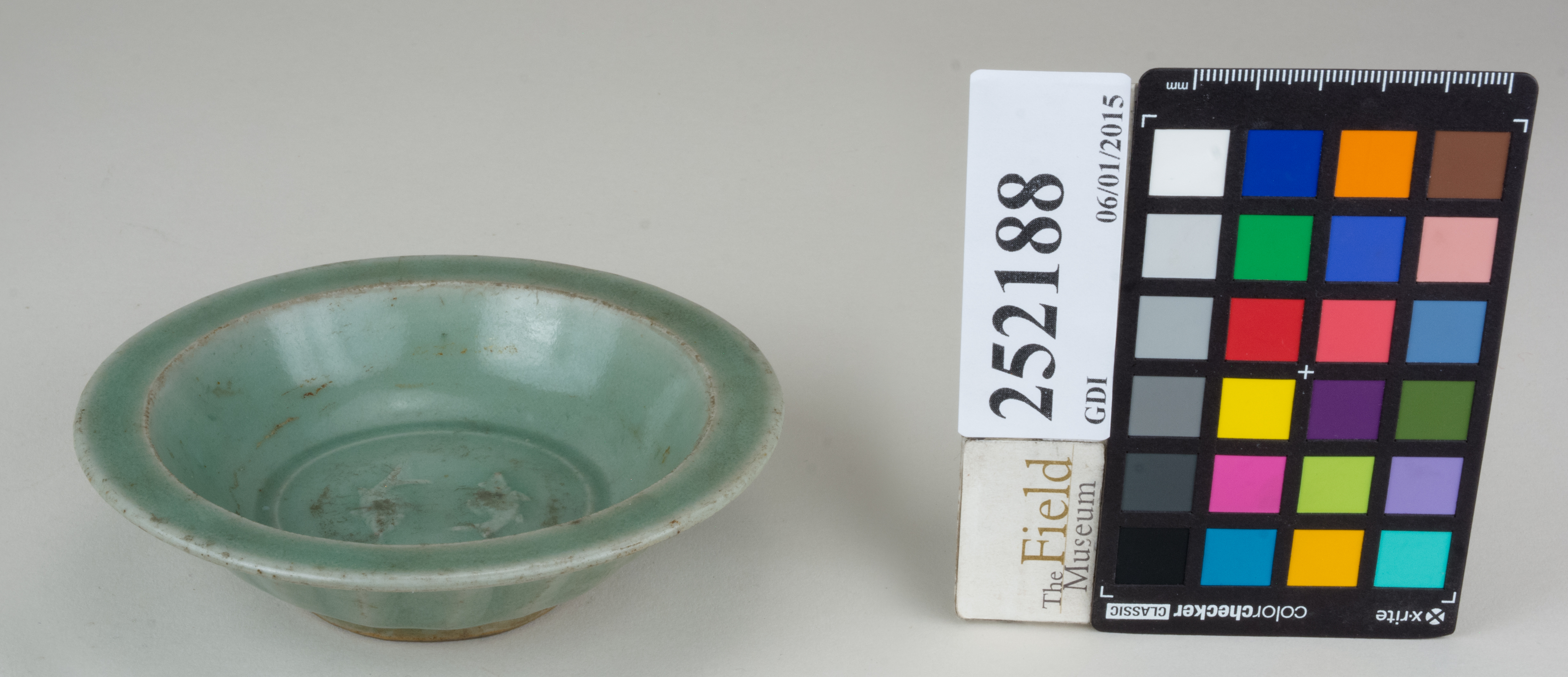 FrontAngle (c) Field Museum of Natural History - CC BY-NC 4.0