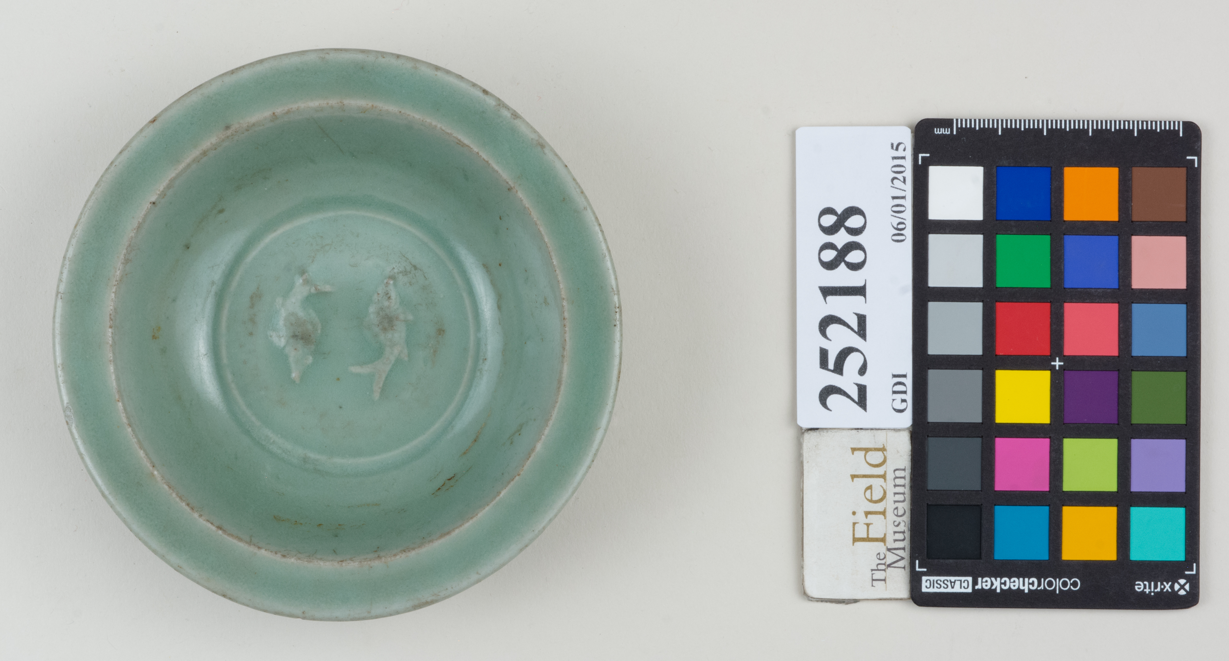 Top (c) Field Museum of Natural History - CC BY-NC 4.0