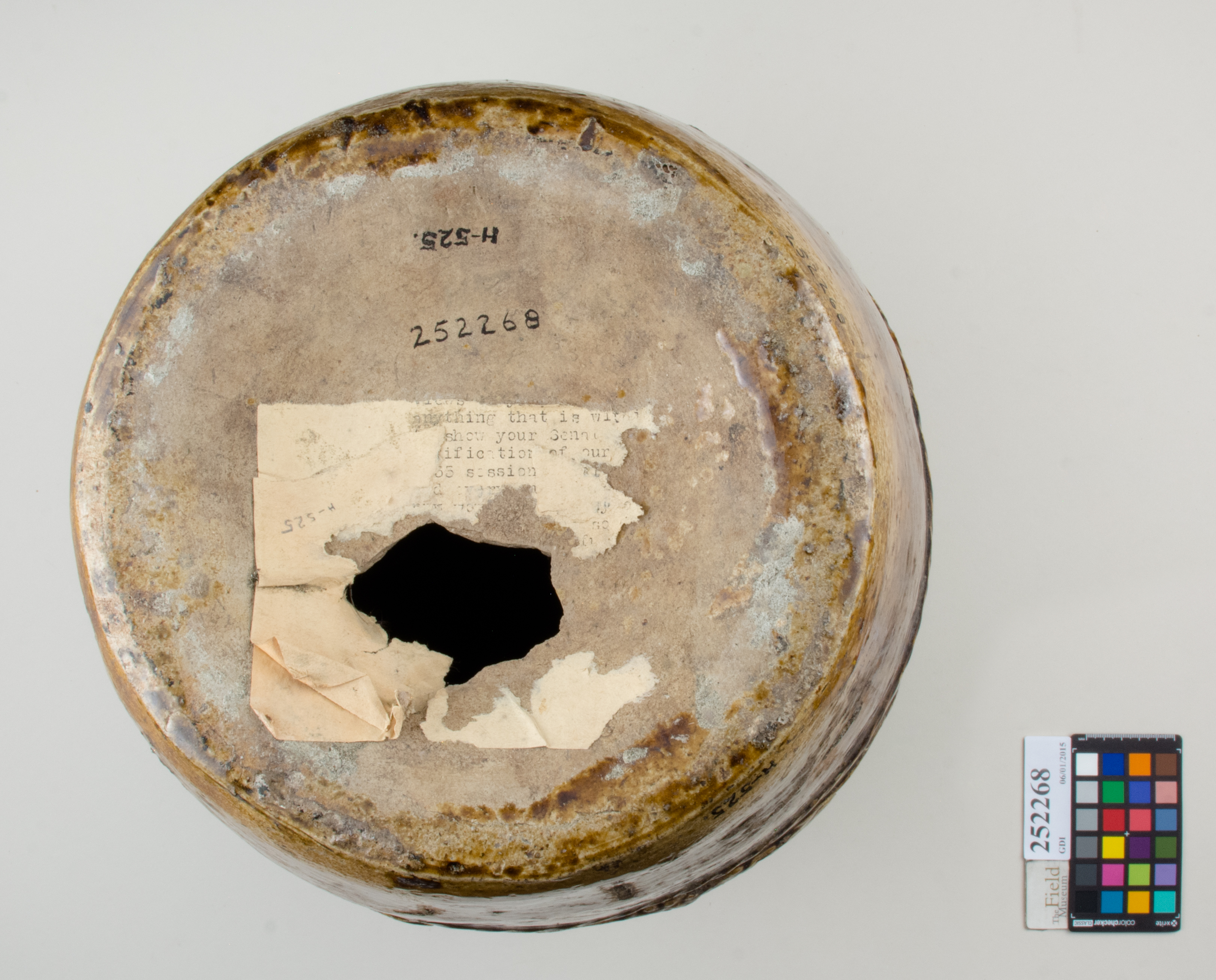 Bottom (c) Field Museum of Natural History - CC BY-NC 4.0