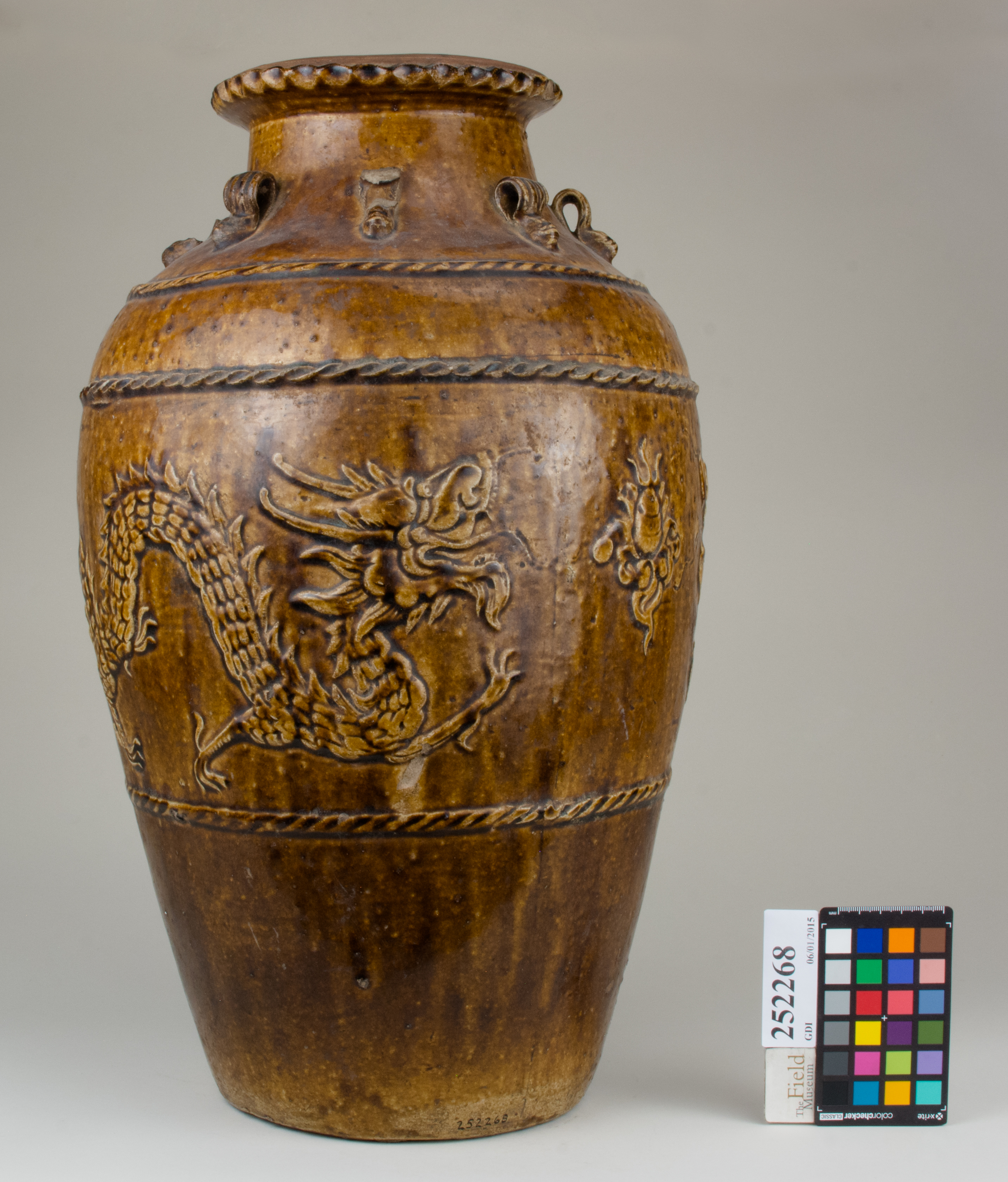 Front (c) Field Museum of Natural History - CC BY-NC 4.0