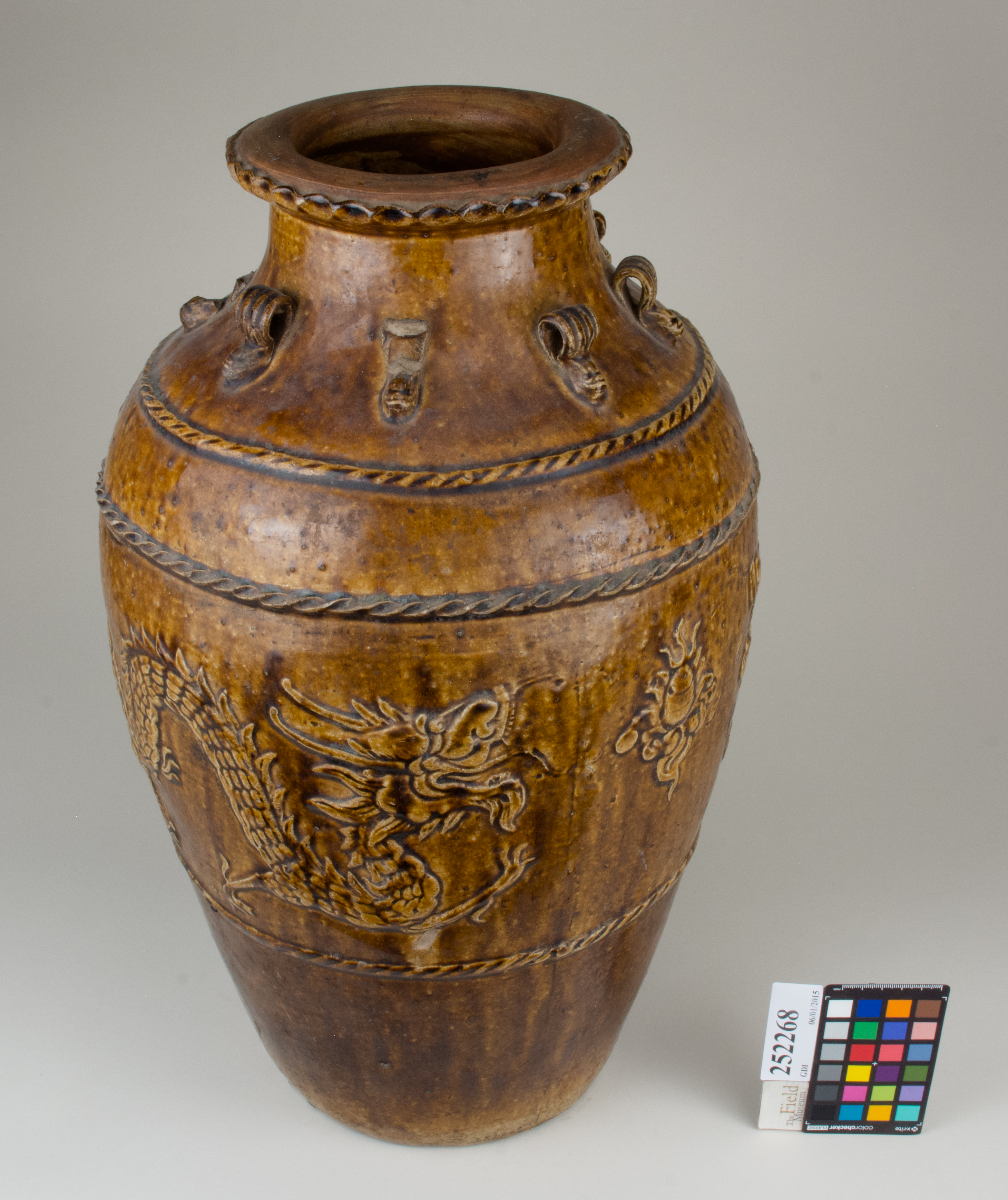 FrontAngle (c) Field Museum of Natural History - CC BY-NC 4.0