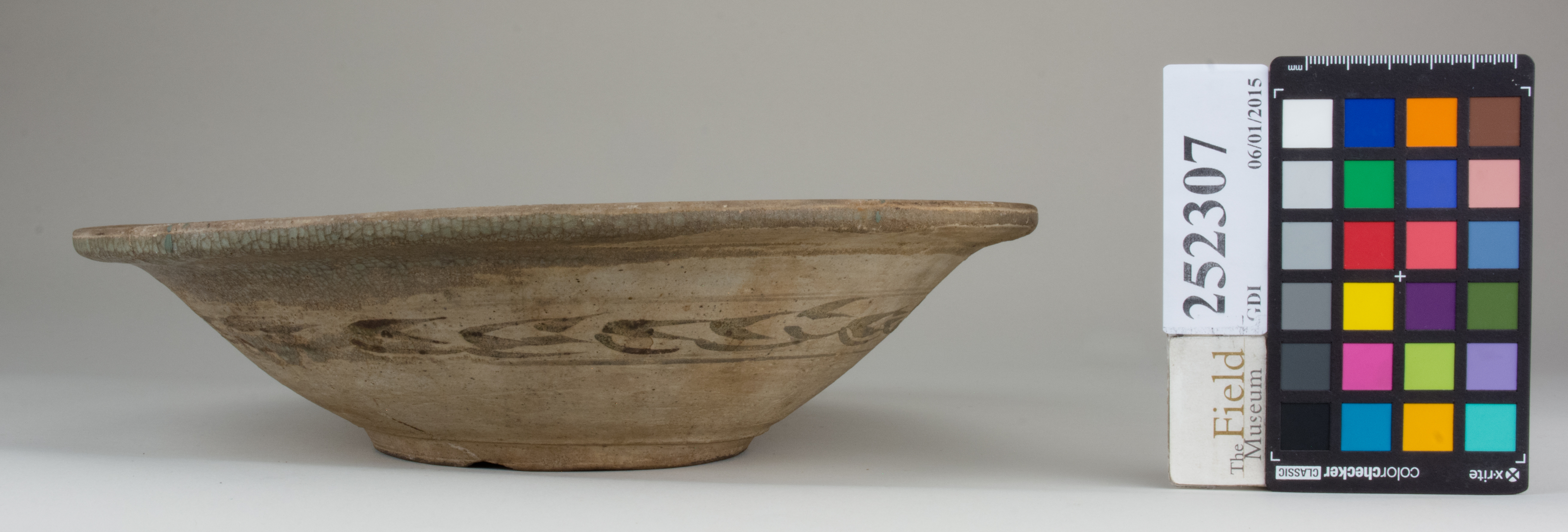 reference image, back (c) Field Museum of Natural History - CC BY-NC 4.0