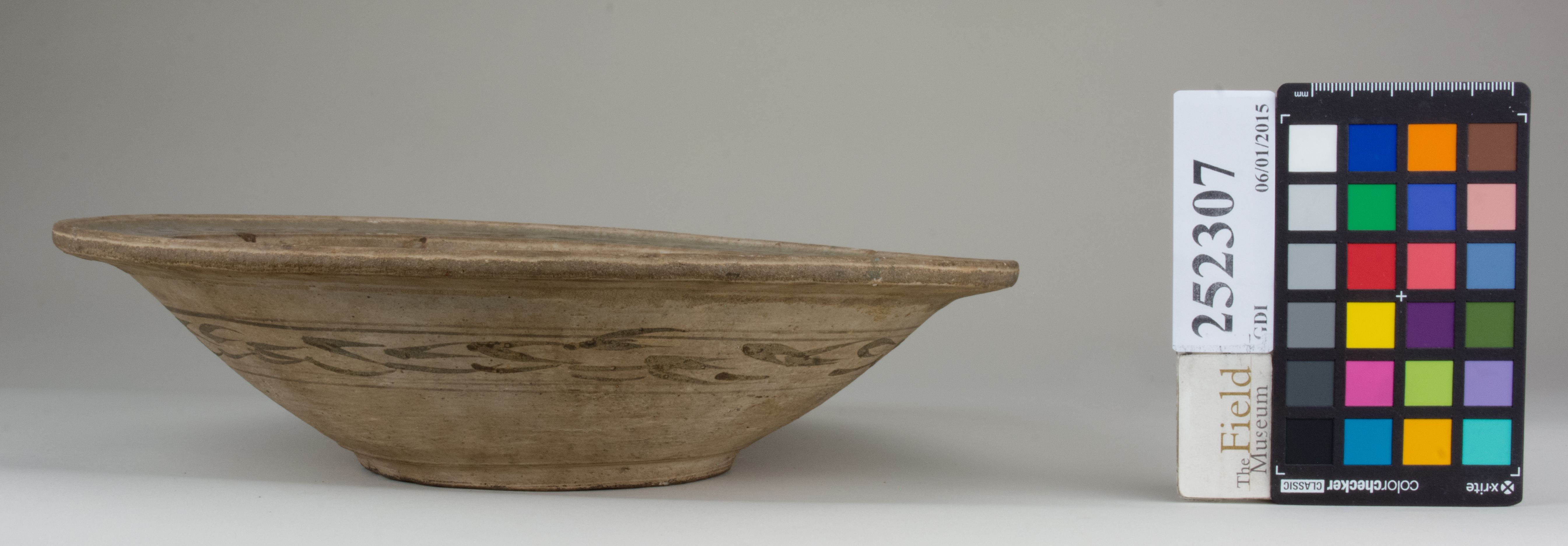 Front (c) Field Museum of Natural History - CC BY-NC 4.0