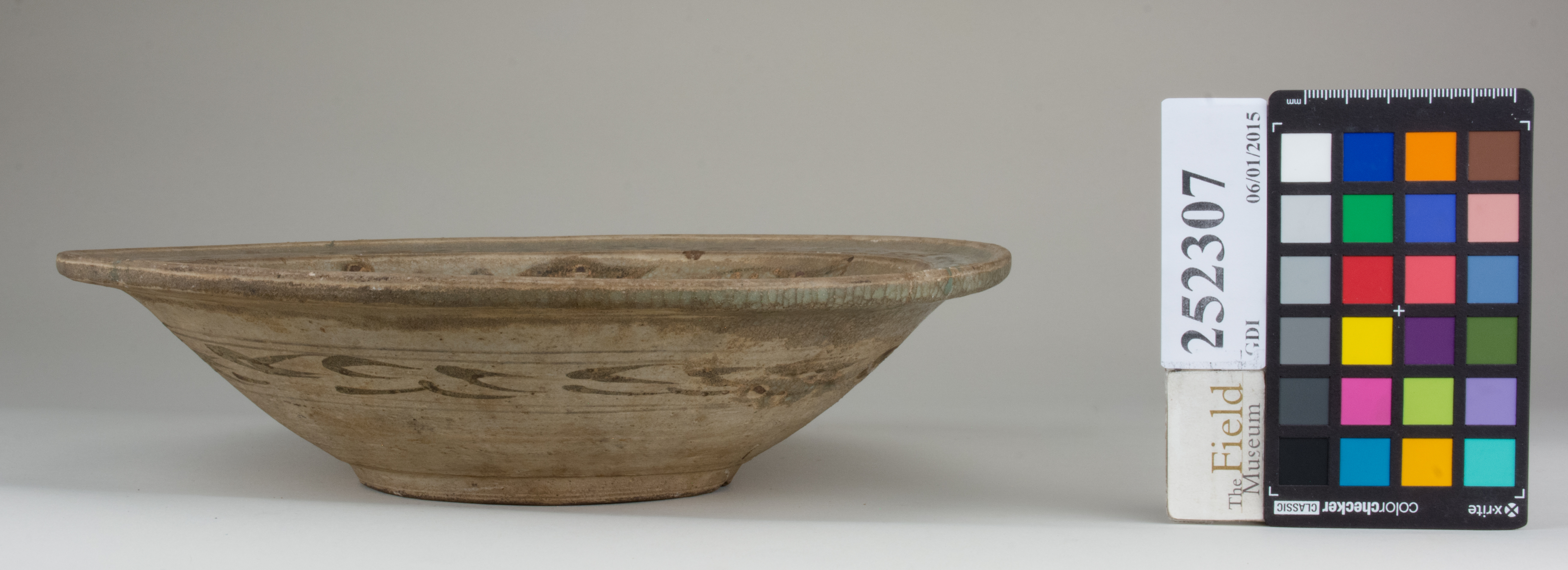 Left (c) Field Museum of Natural History - CC BY-NC 4.0