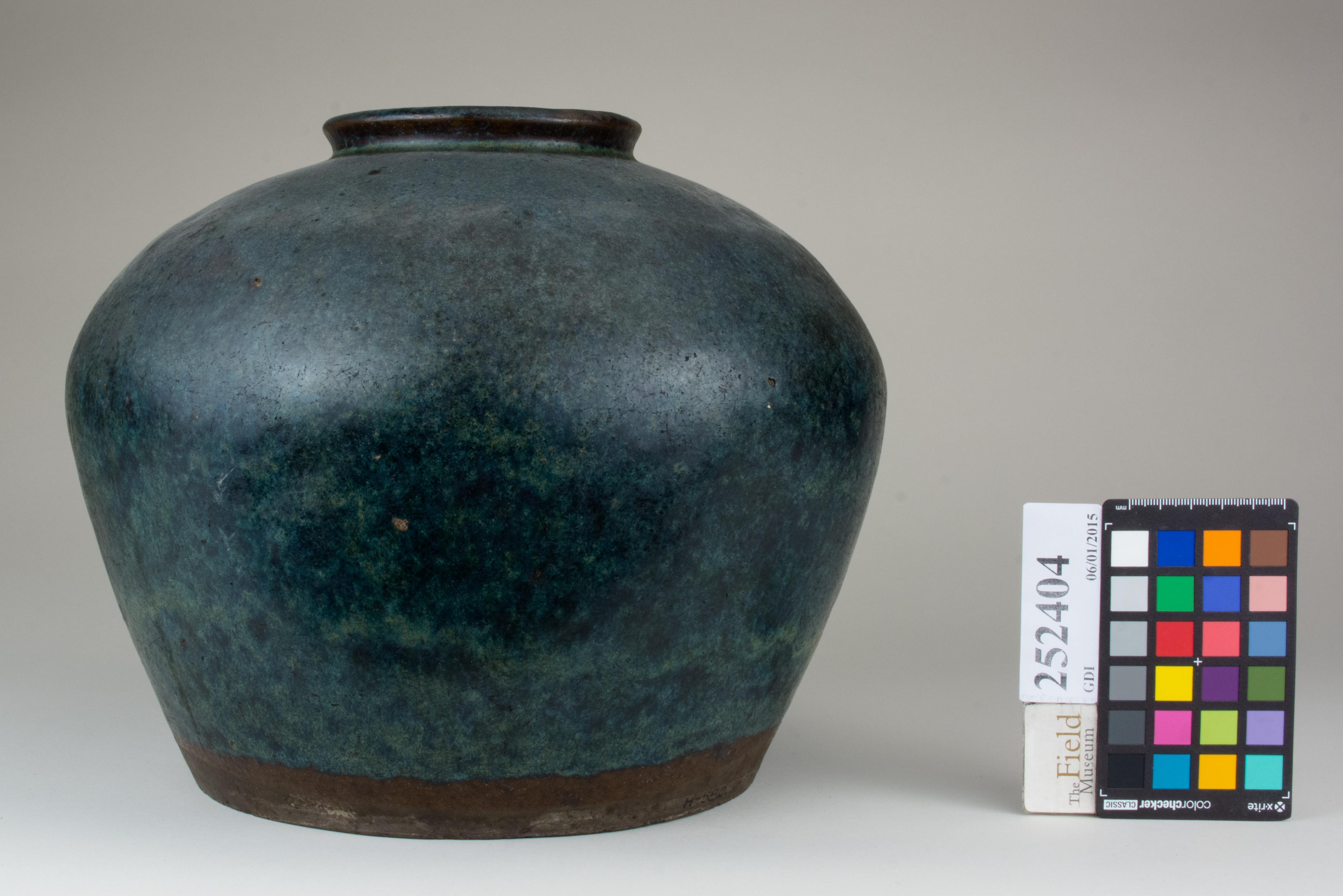 Front (c) Field Museum of Natural History - CC BY-NC 4.0