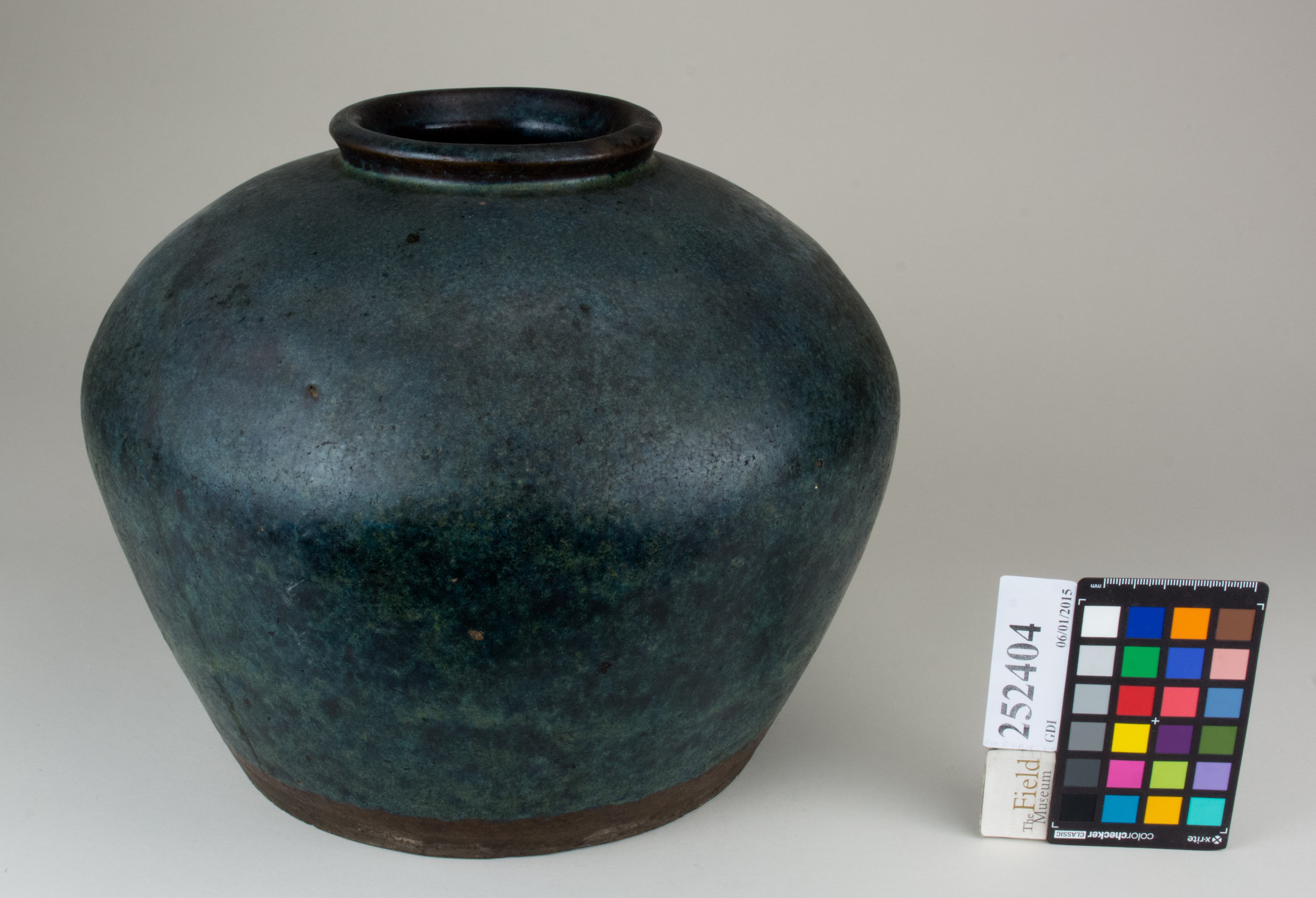 FrontAngle (c) Field Museum of Natural History - CC BY-NC 4.0