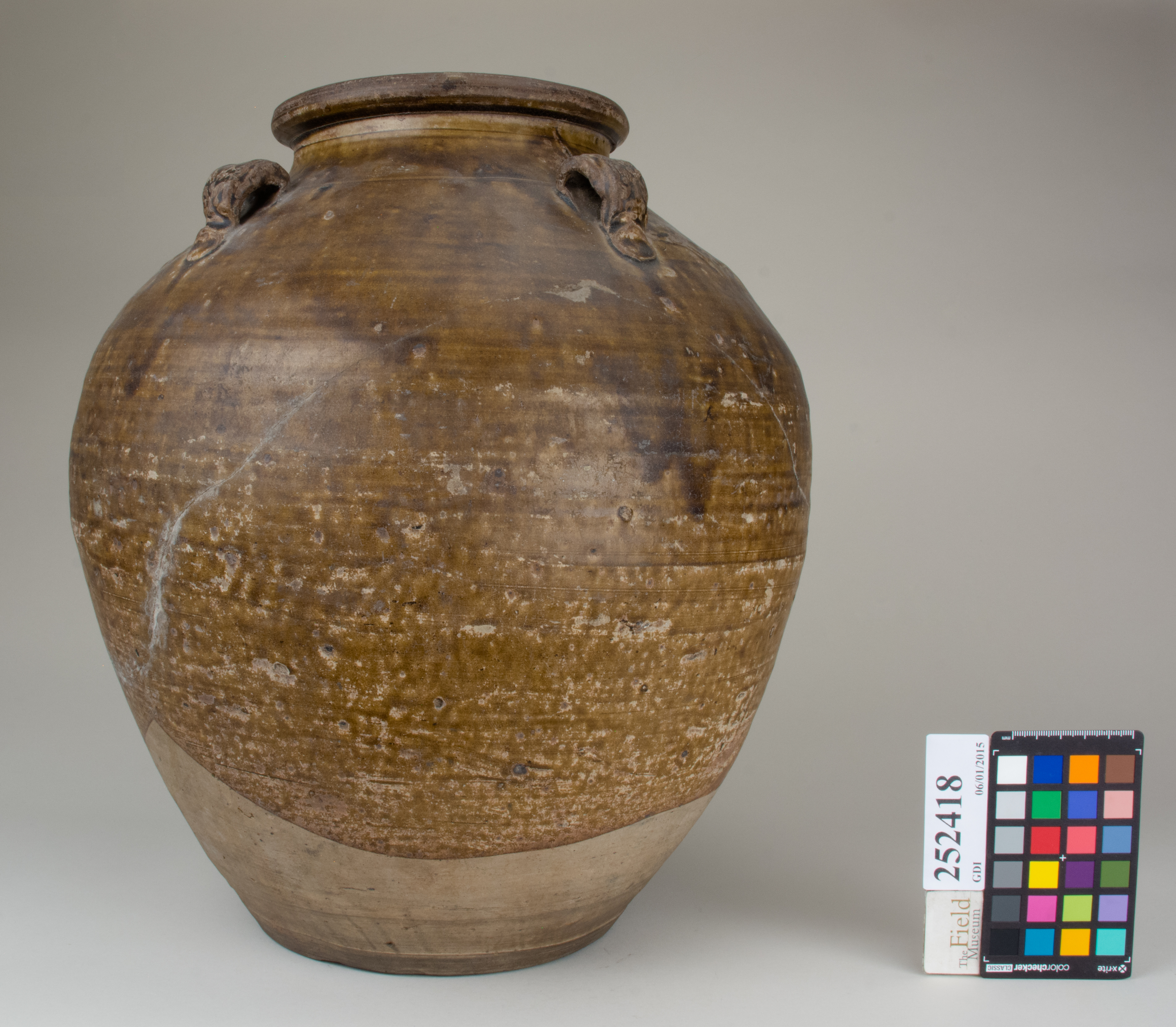 Left (c) Field Museum of Natural History - CC BY-NC 4.0