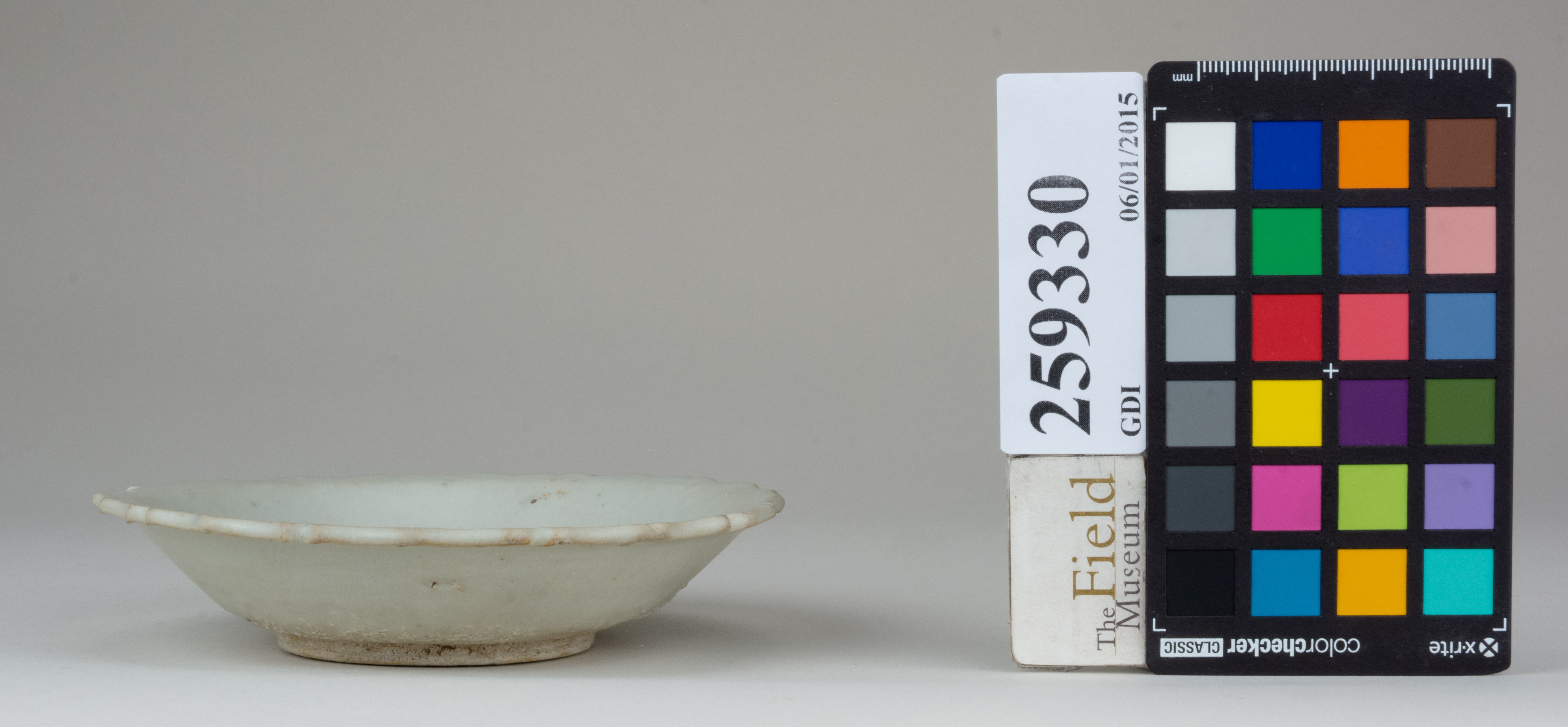 reference image, back (c) Field Museum of Natural History - CC BY-NC 4.0