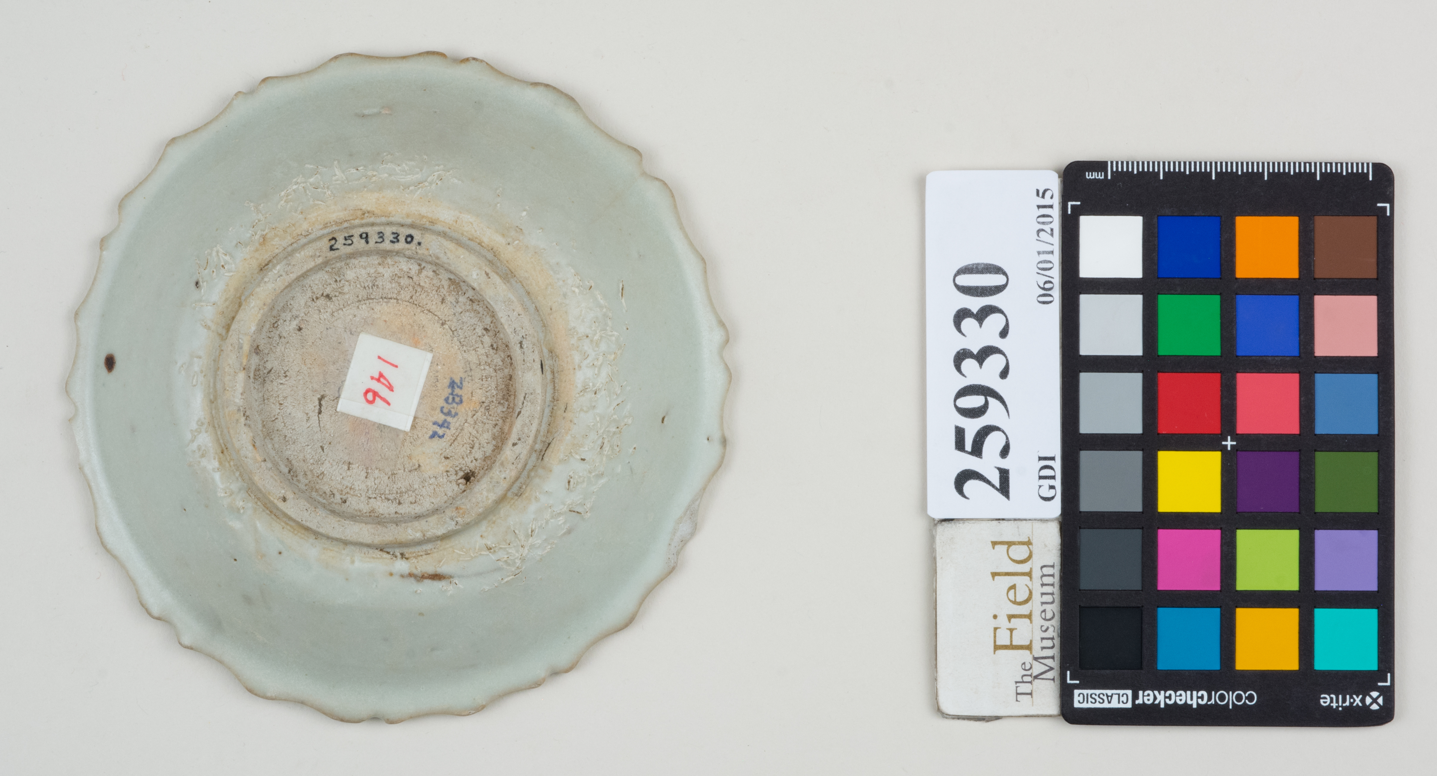 Bottom (c) Field Museum of Natural History - CC BY-NC 4.0