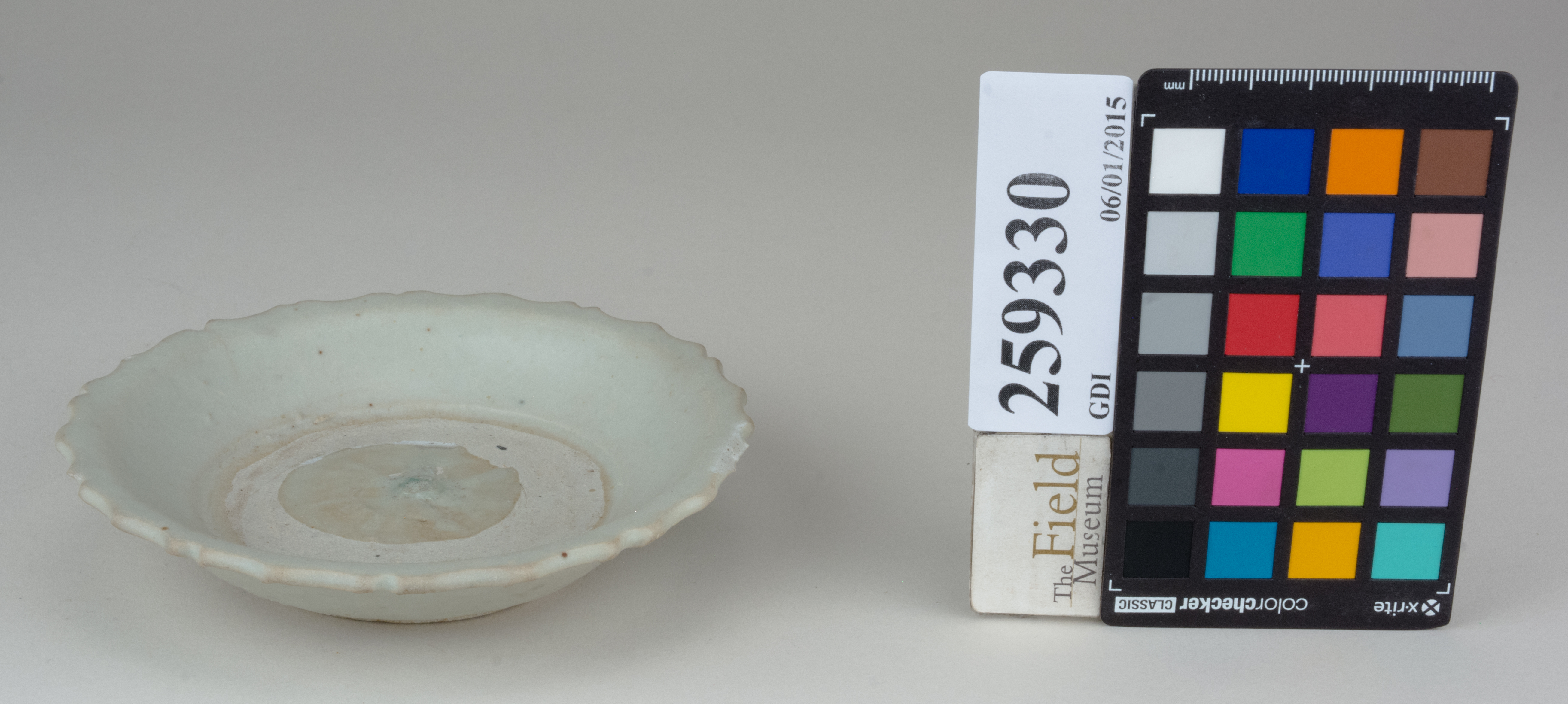 FrontAngle (c) Field Museum of Natural History - CC BY-NC 4.0