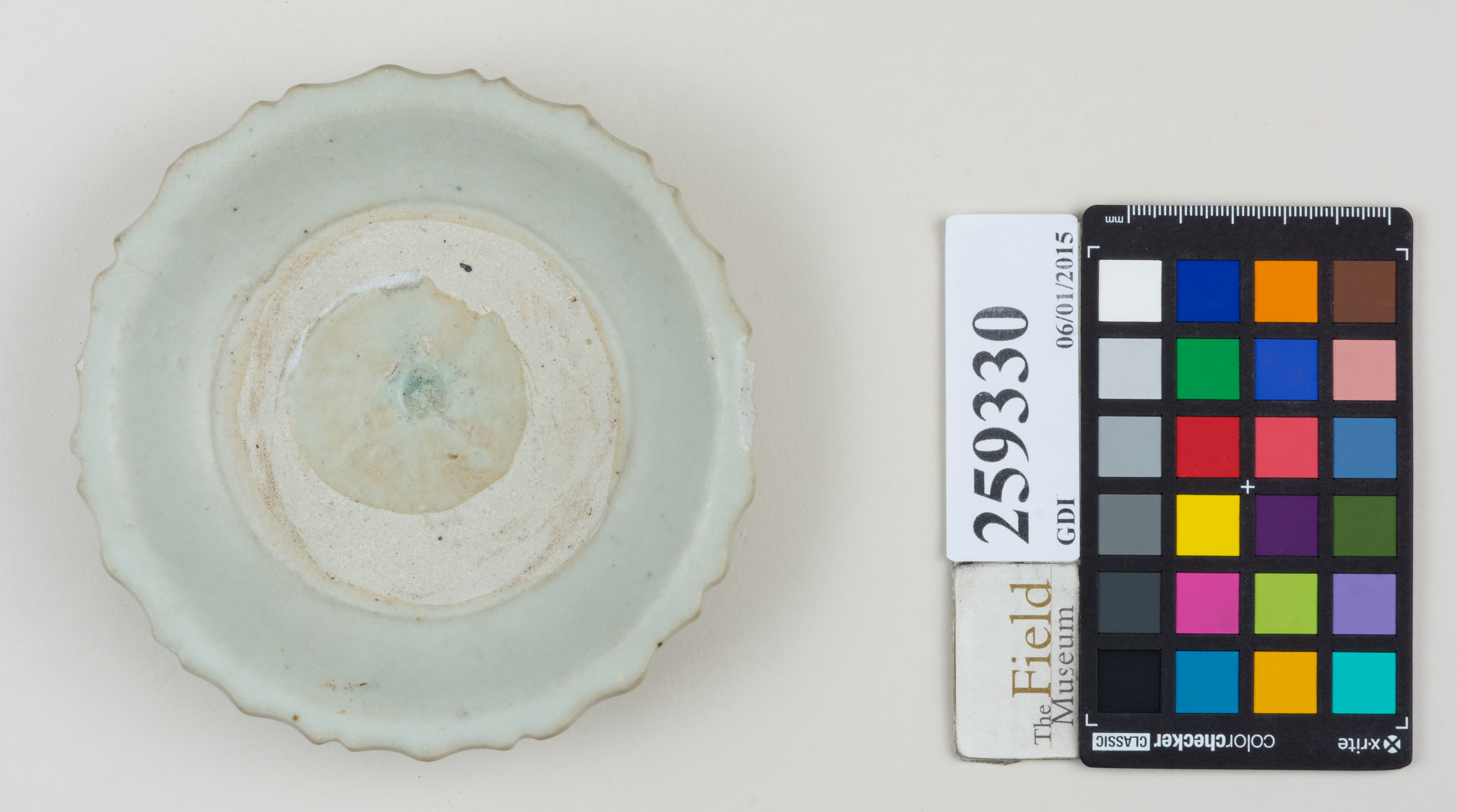 Top (c) Field Museum of Natural History - CC BY-NC 4.0