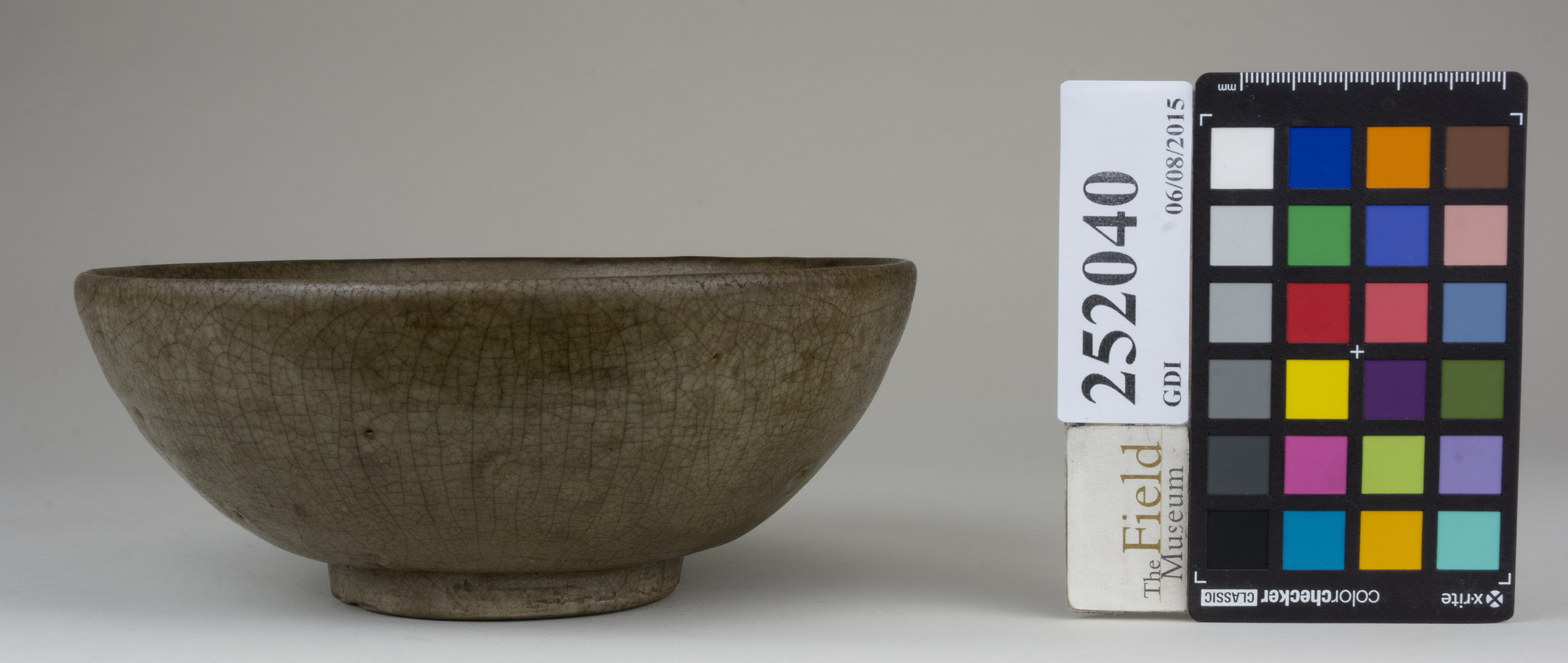 reference image, back (c) Field Museum of Natural History - CC BY-NC 4.0