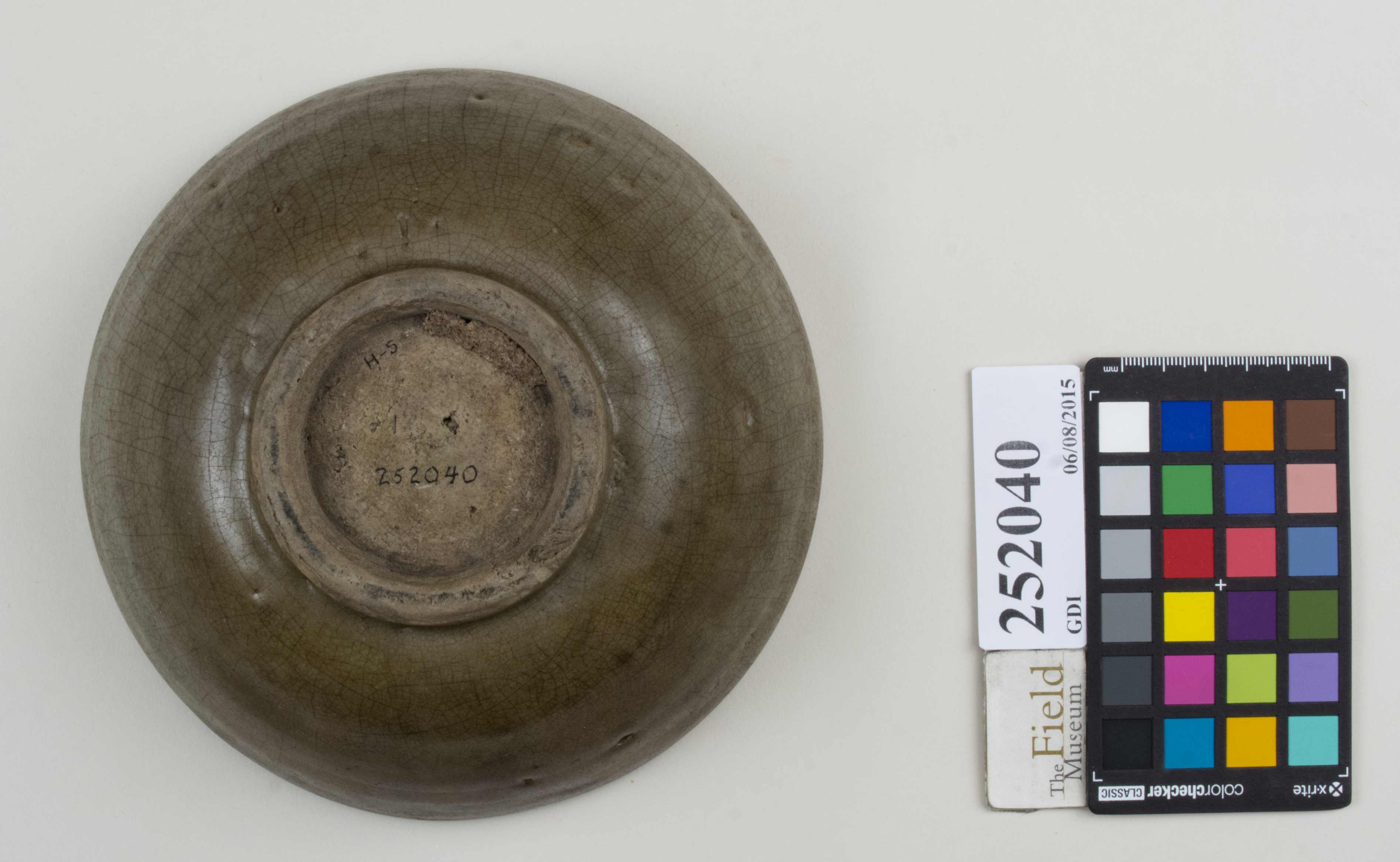 Bottom (c) Field Museum of Natural History - CC BY-NC 4.0