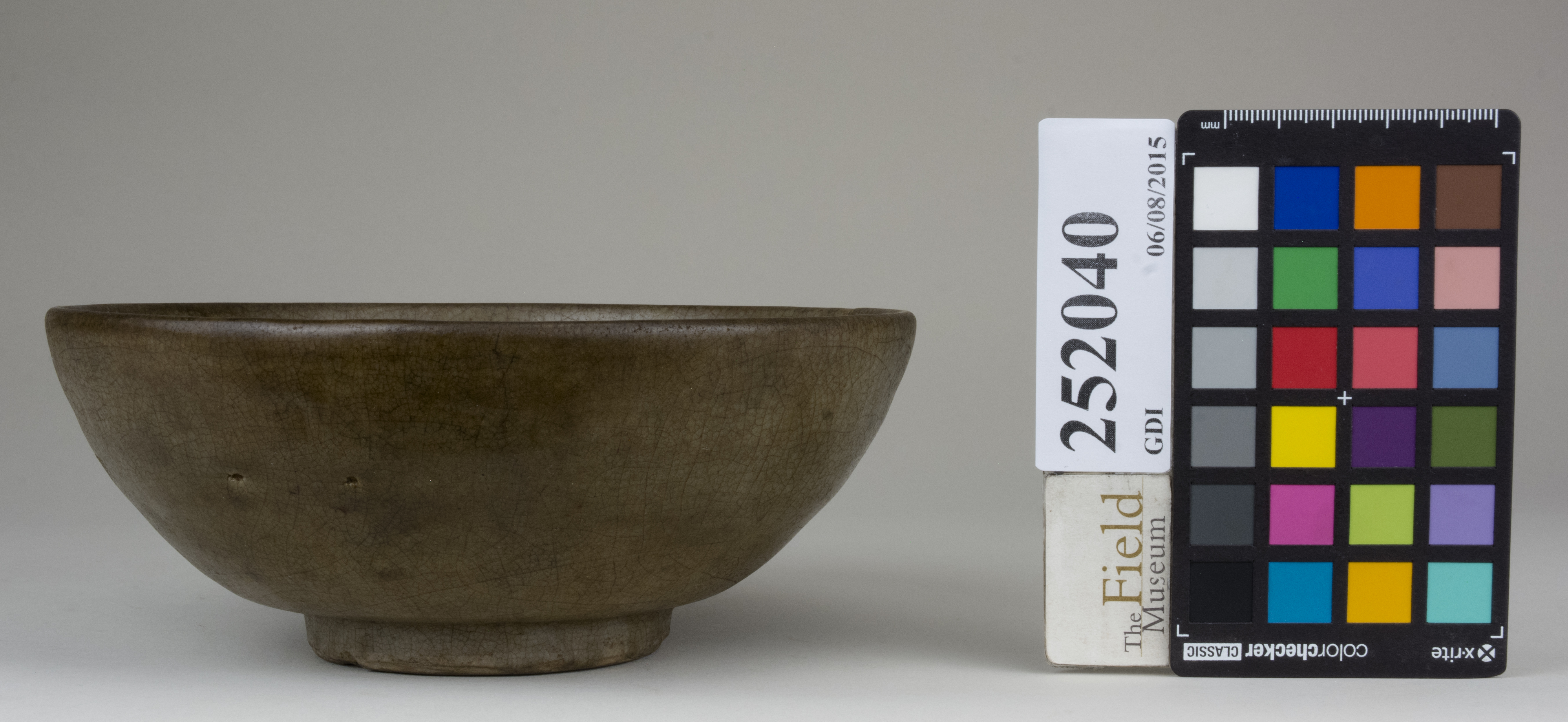 Front (c) Field Museum of Natural History - CC BY-NC 4.0