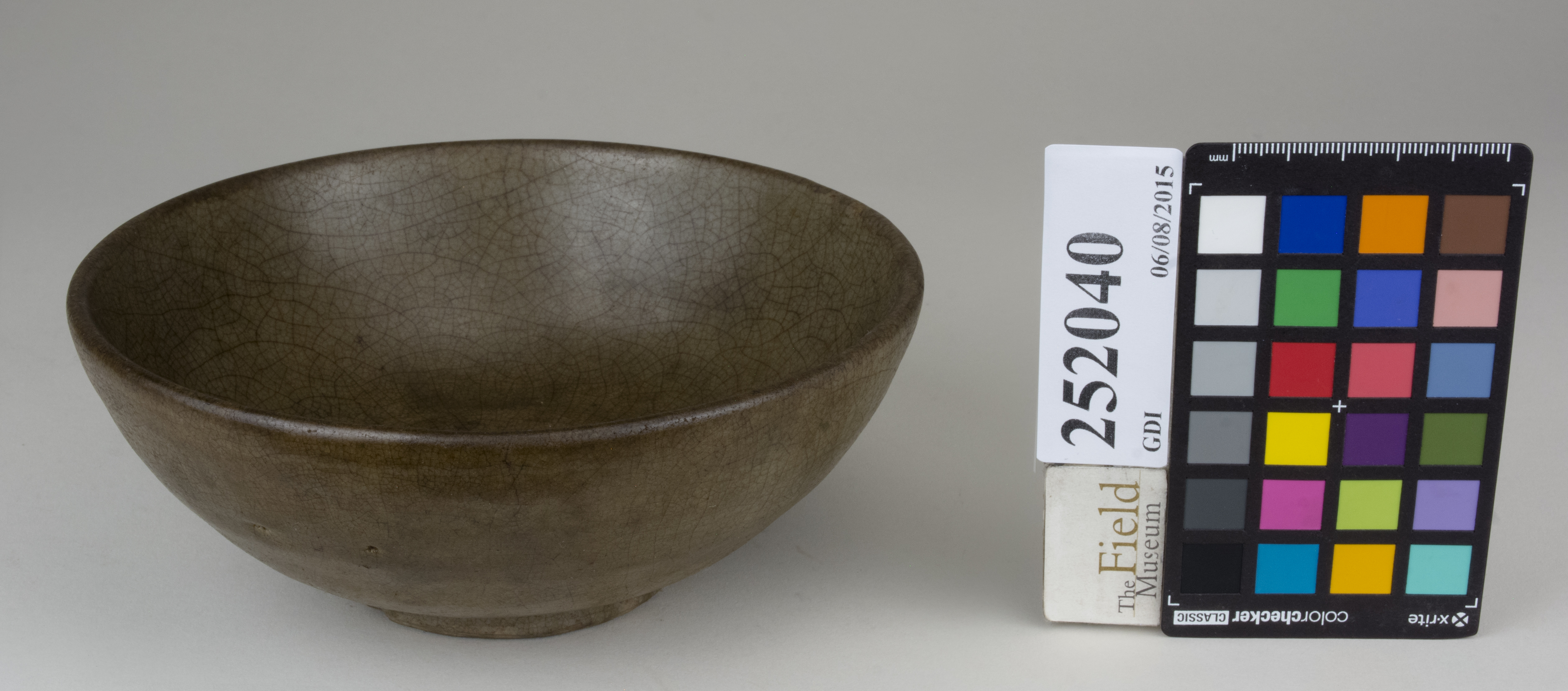 FrontAngle (c) Field Museum of Natural History - CC BY-NC 4.0