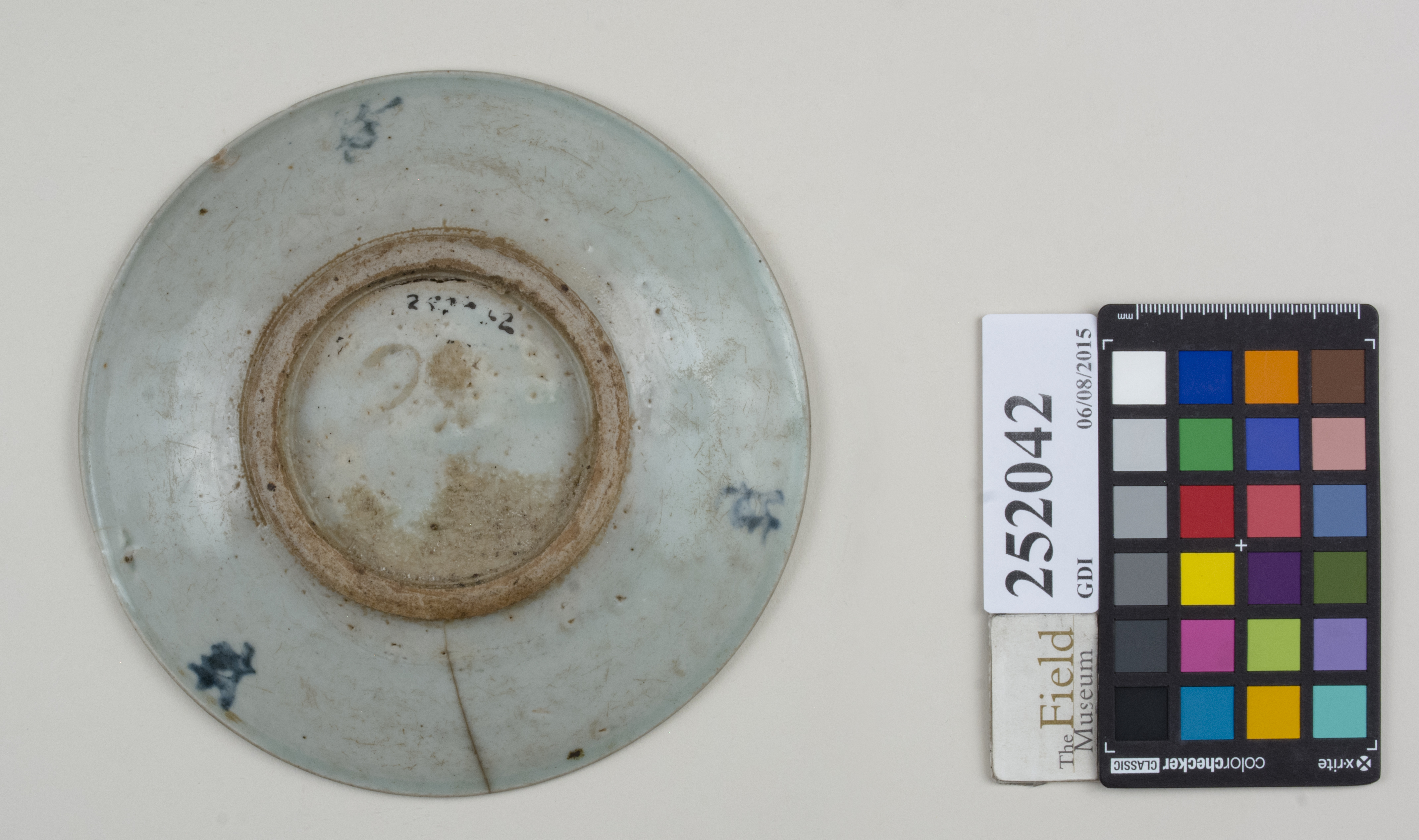 Bottom (c) Field Museum of Natural History - CC BY-NC 4.0