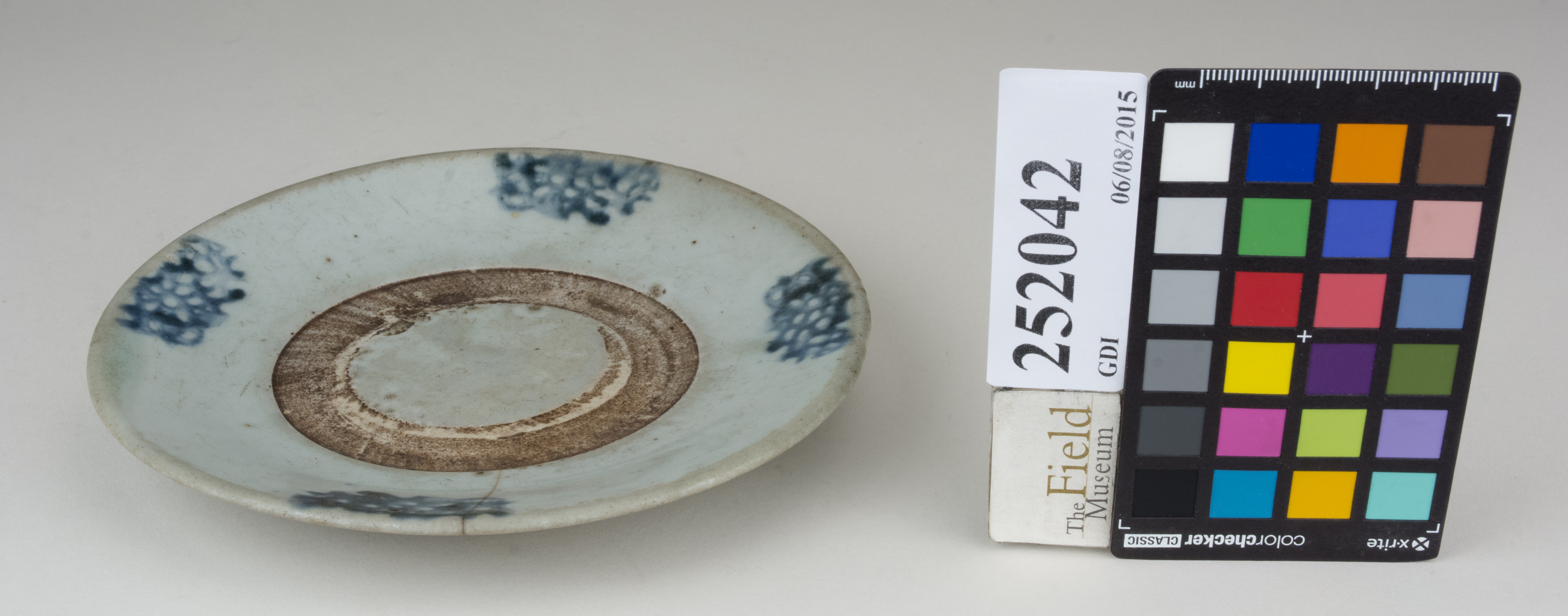 FrontAngle (c) Field Museum of Natural History - CC BY-NC 4.0