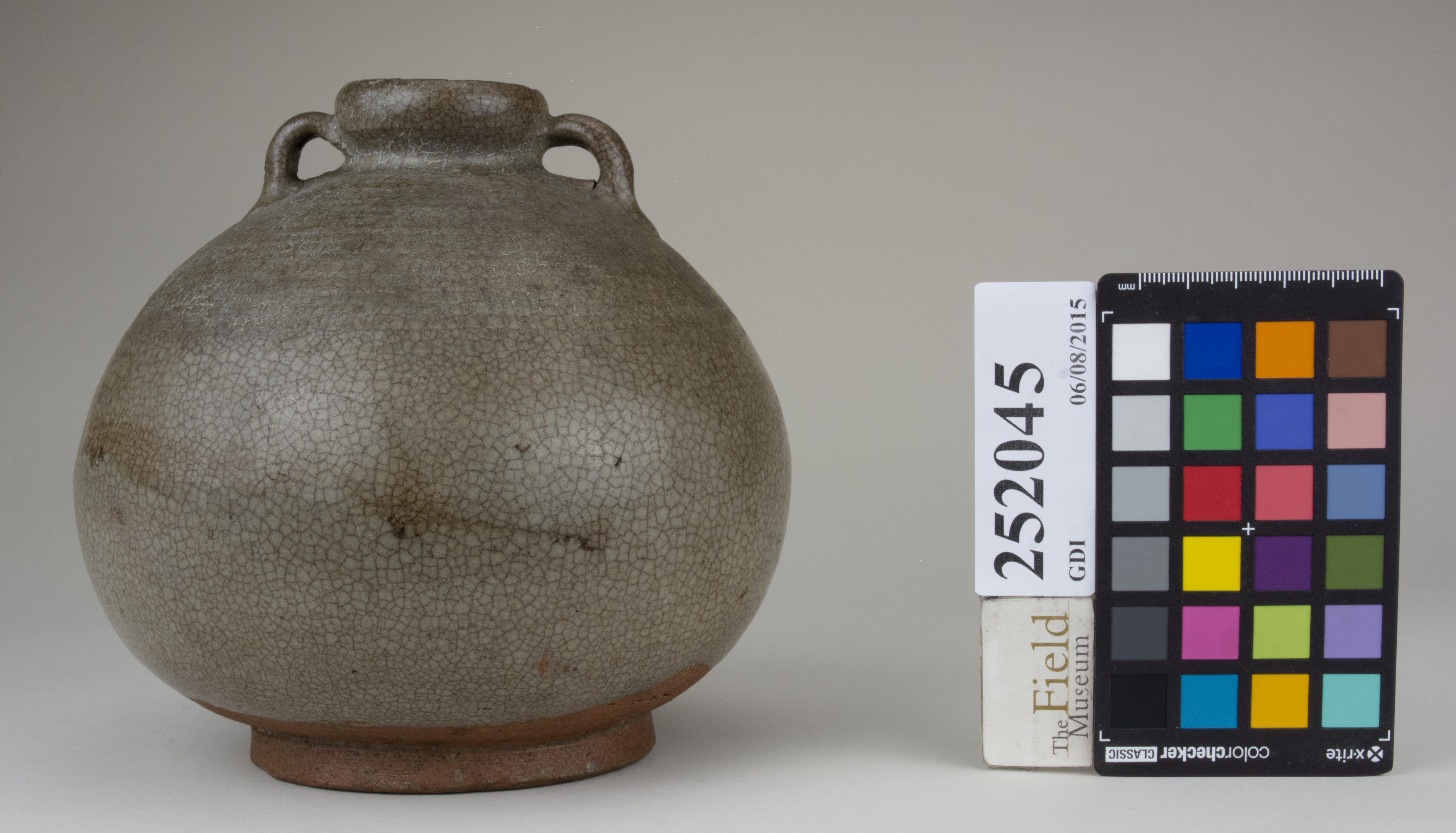 reference image, back (c) Field Museum of Natural History - CC BY-NC 4.0