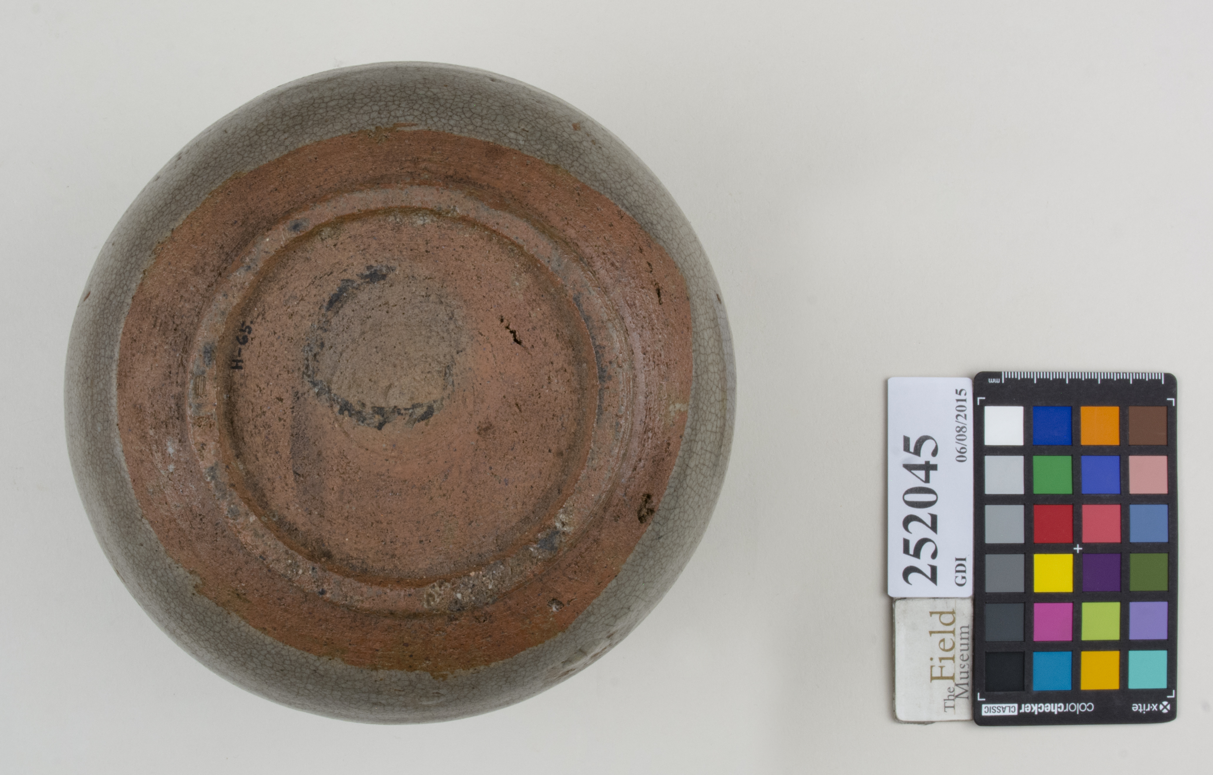 Bottom (c) Field Museum of Natural History - CC BY-NC 4.0