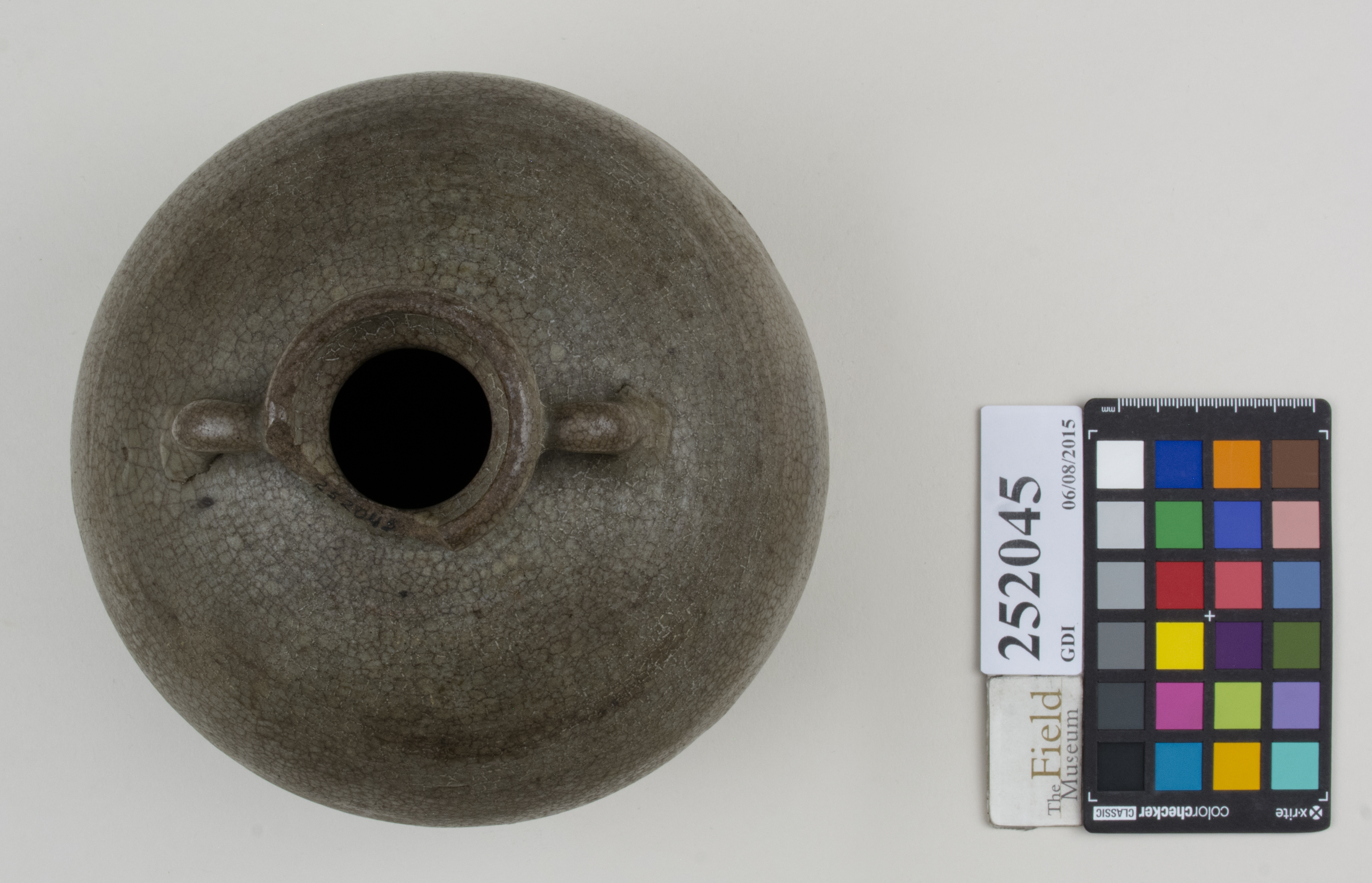 Top (c) Field Museum of Natural History - CC BY-NC 4.0