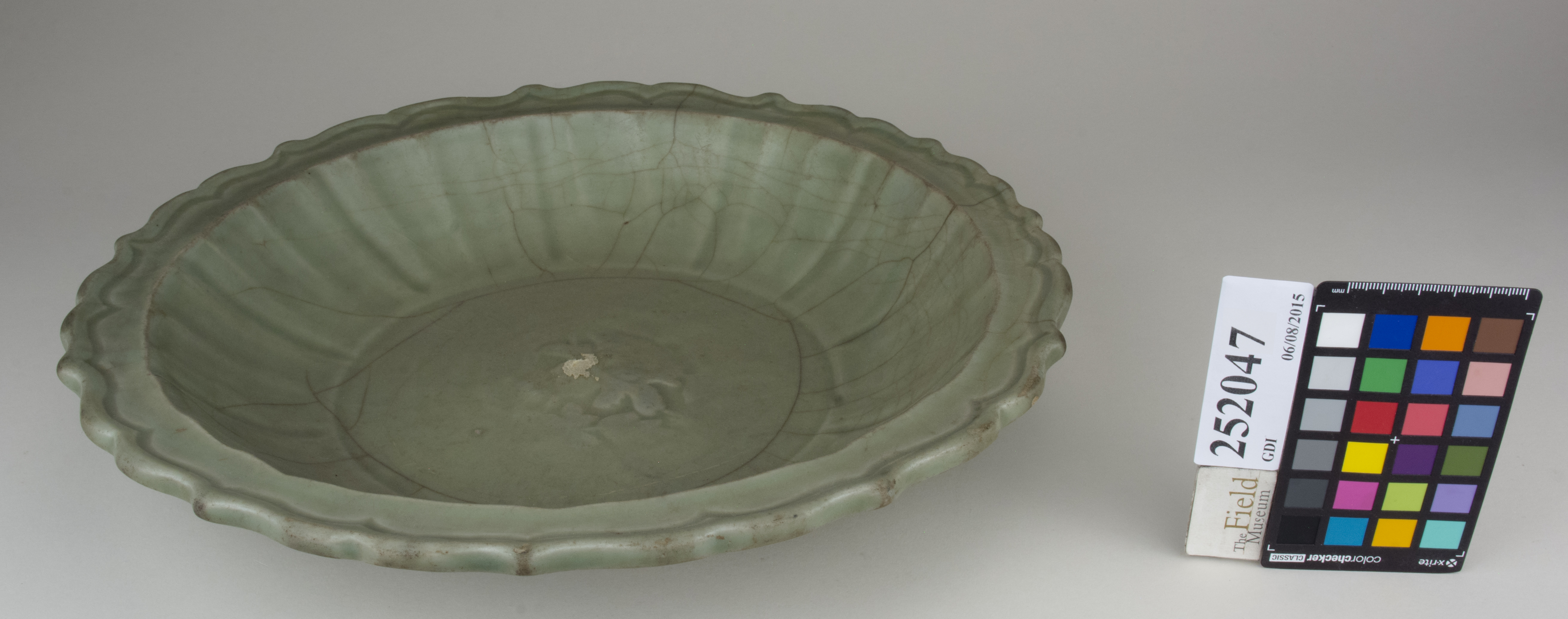 FrontAngle (c) Field Museum of Natural History - CC BY-NC 4.0