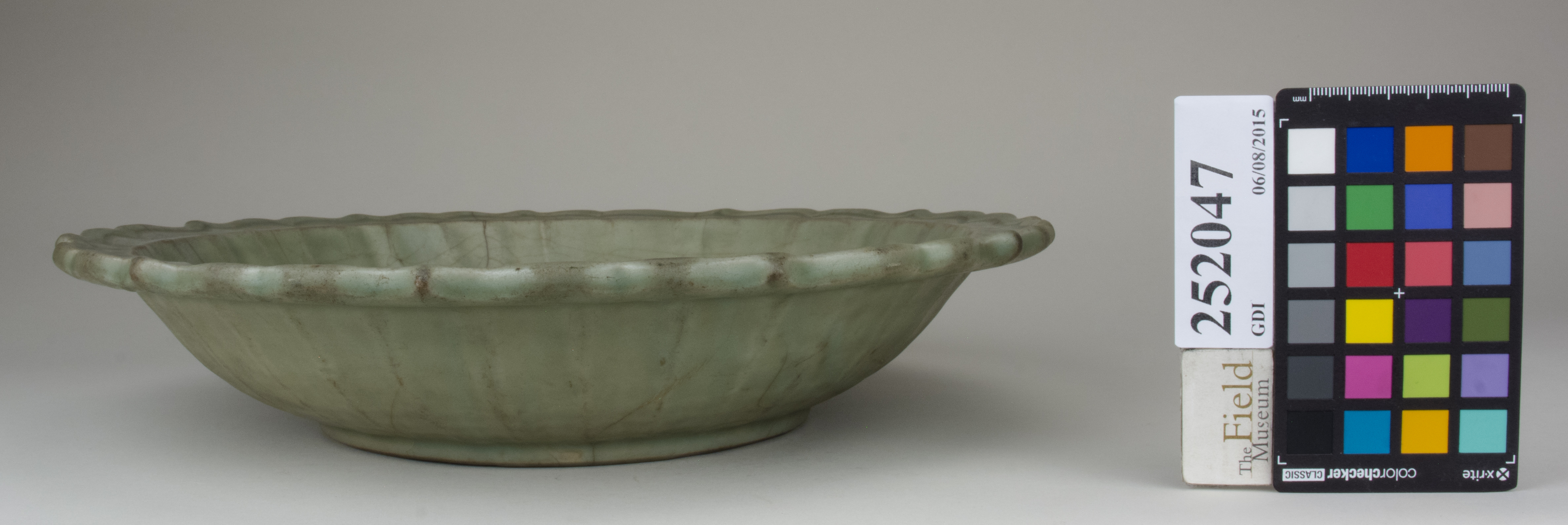 Right (c) Field Museum of Natural History - CC BY-NC 4.0