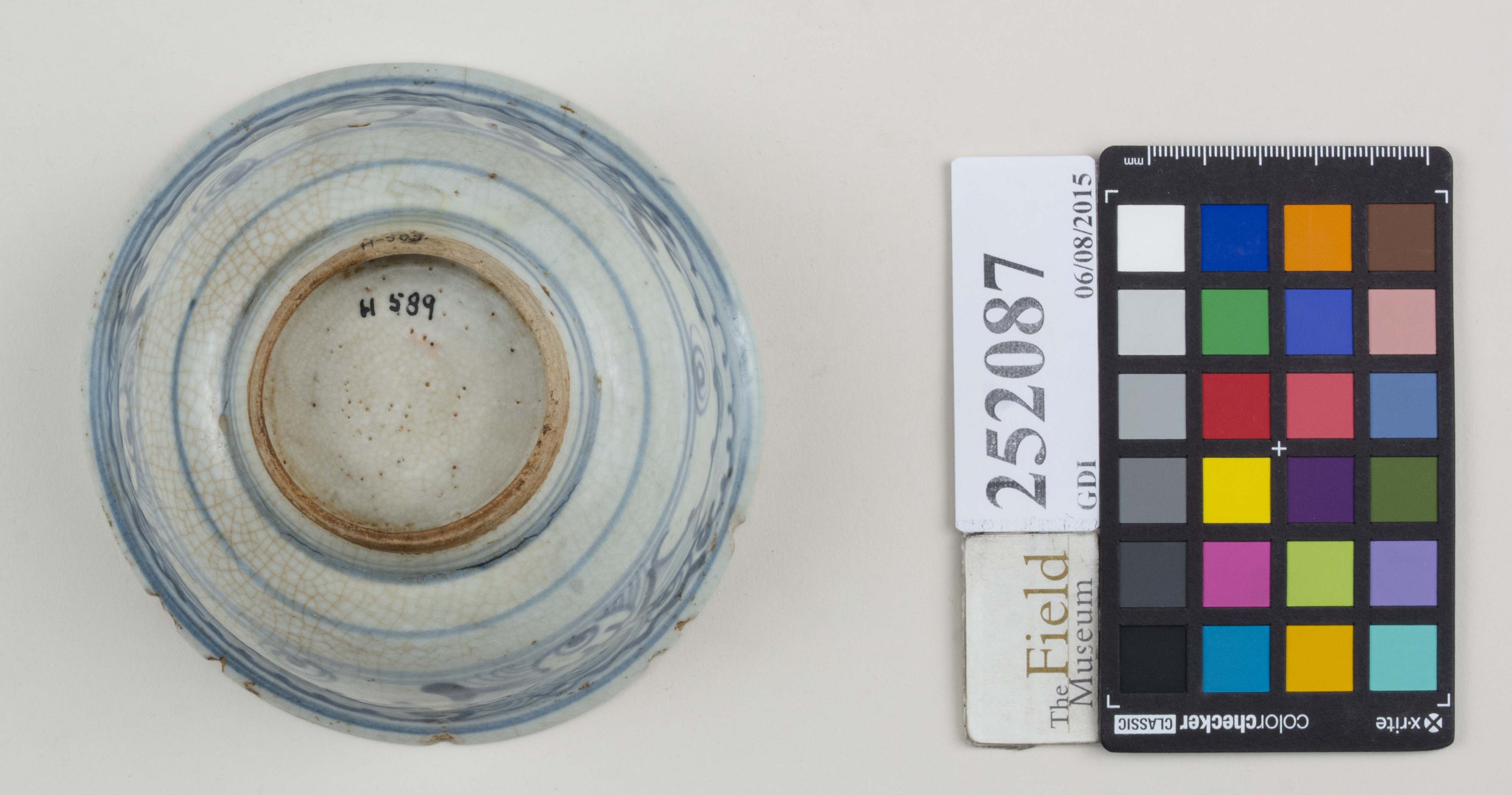 Bottom (c) Field Museum of Natural History - CC BY-NC 4.0