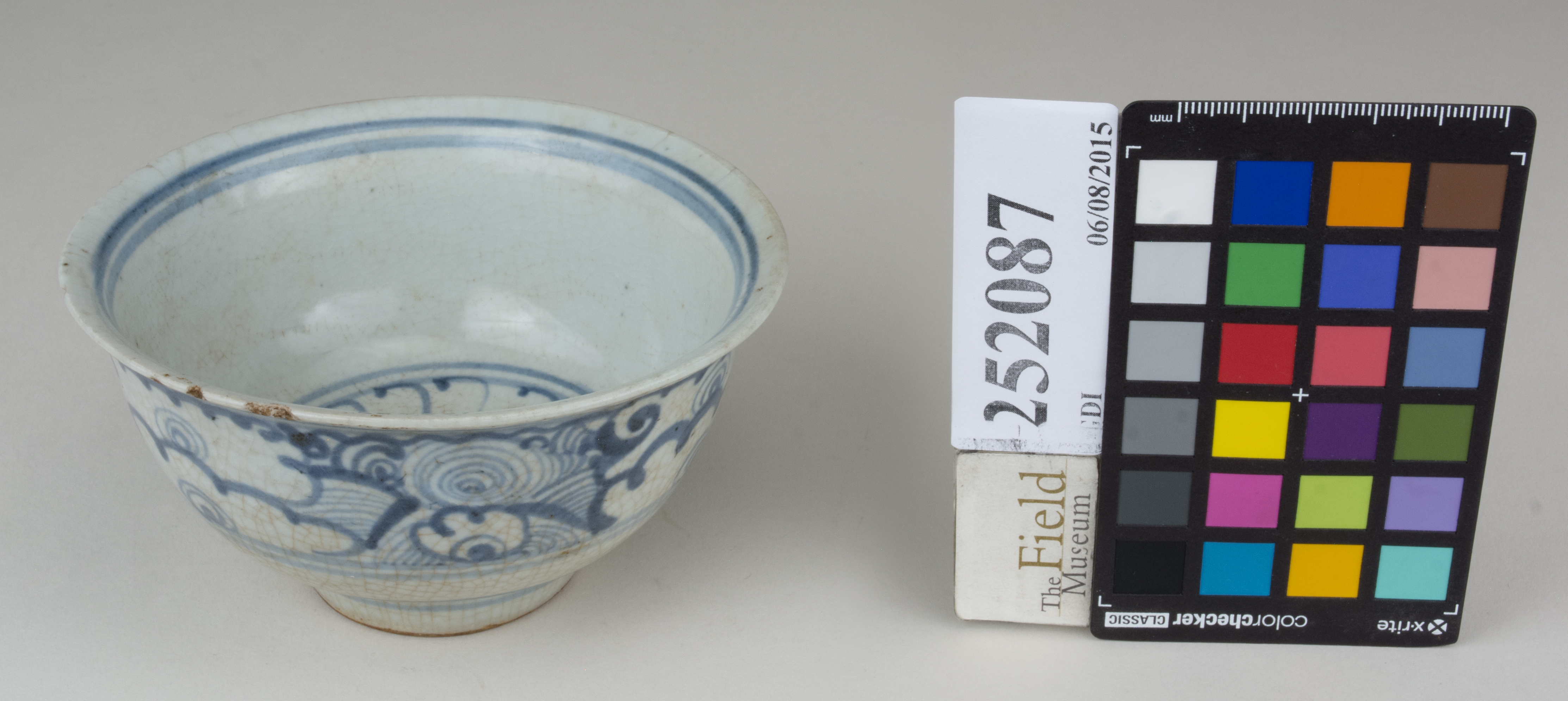 FrontAngle (c) Field Museum of Natural History - CC BY-NC 4.0