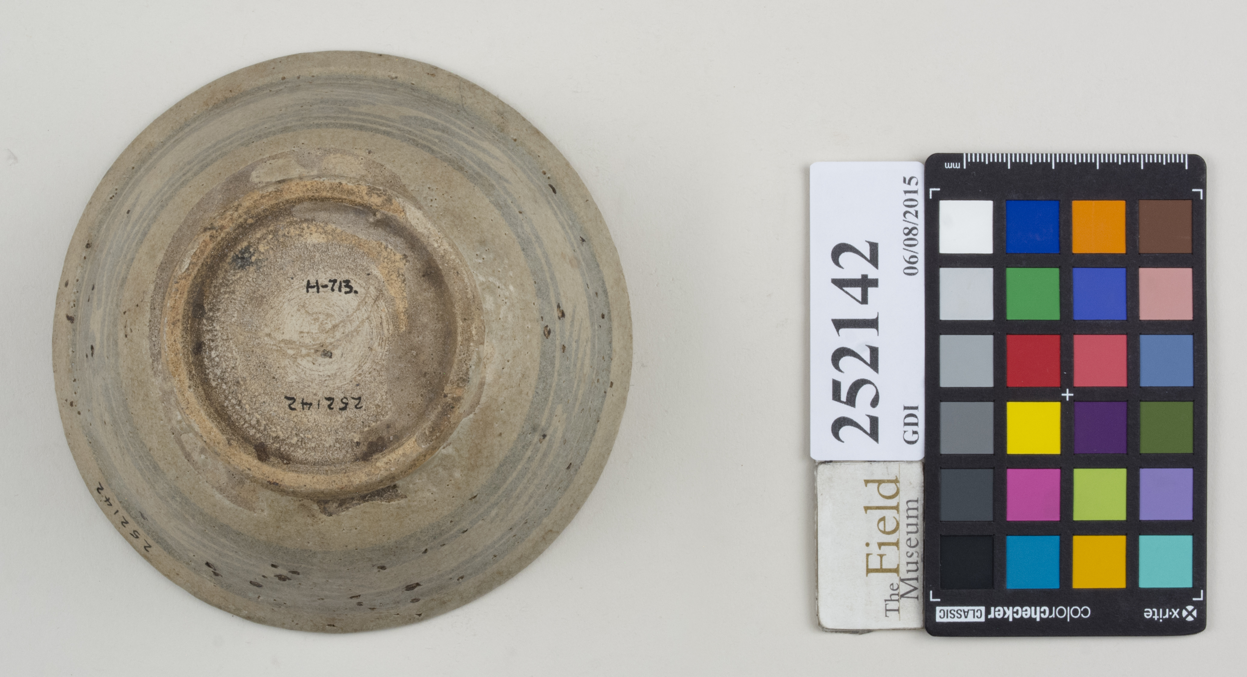 Bottom (c) Field Museum of Natural History - CC BY-NC 4.0