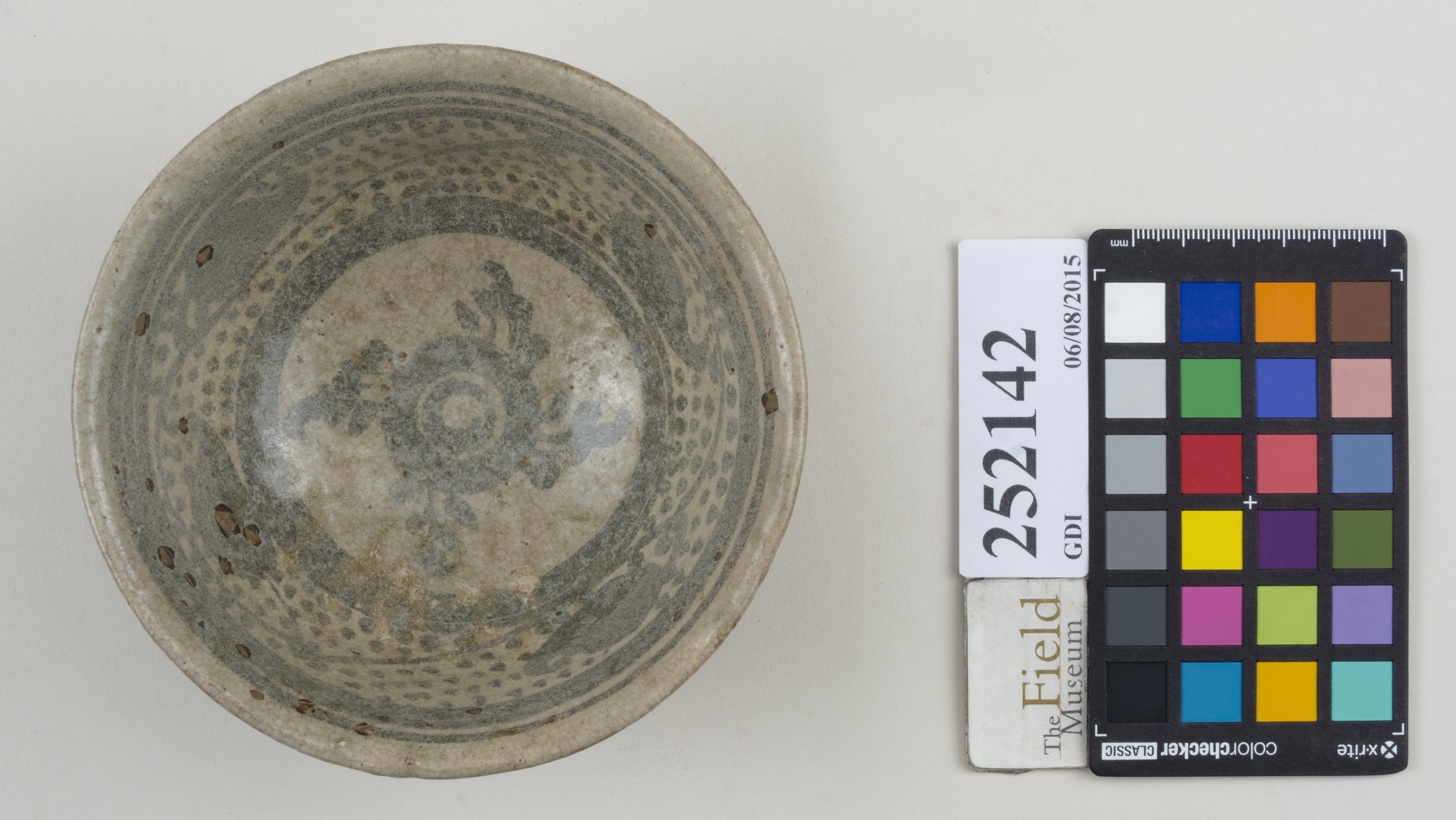 Top (c) Field Museum of Natural History - CC BY-NC 4.0